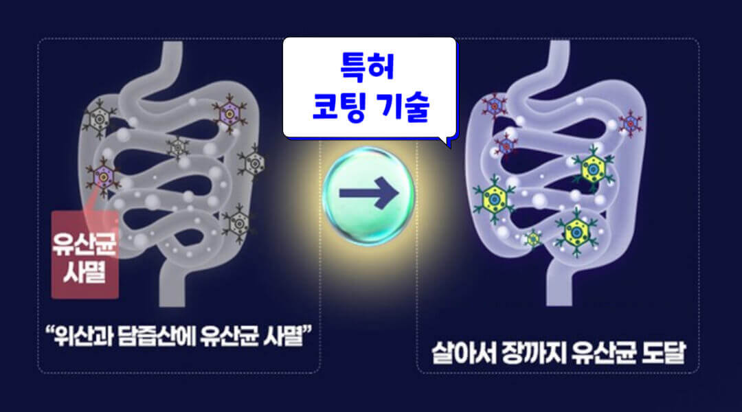 유산균 보호 코팅 기술