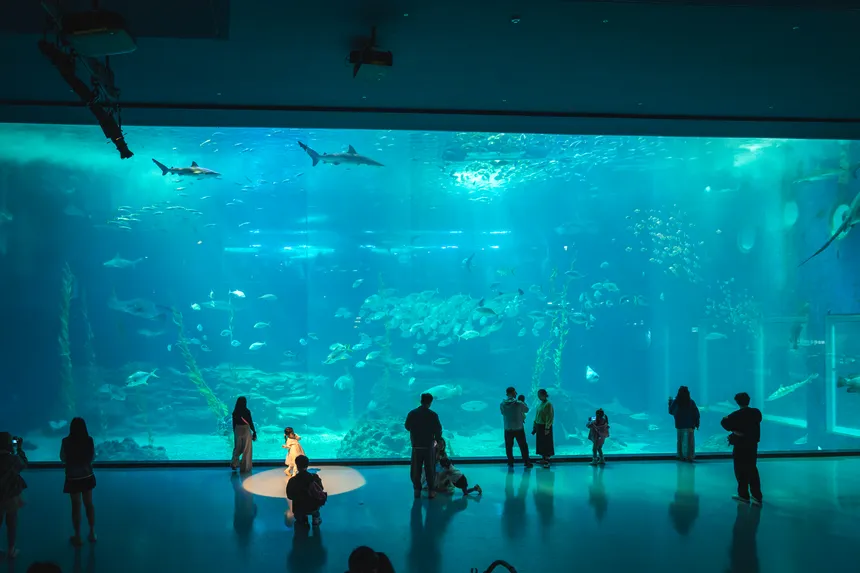 제주 아쿠아플라넷 내부에서 거대한 수조 앞에 서 있는 사람들과 파란빛 바다 생물들이 조화를 이루는 풍경