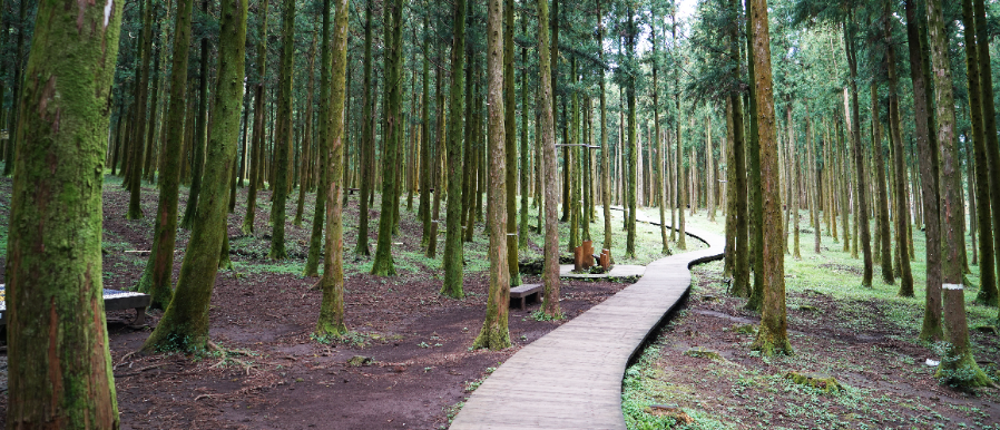 제주도 가볼만한곳 10곳