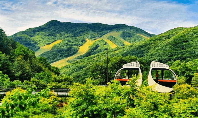 화담숲 전경