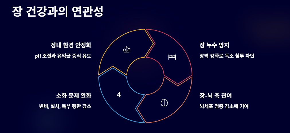 낙산균 효능과 부작용, 꼭 알아야 할 핵심 정보