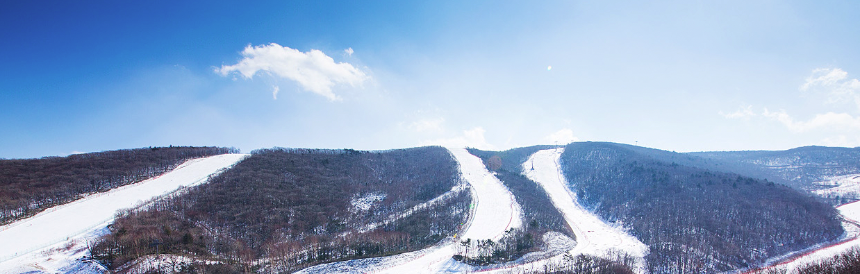 전국 스키장 개장일