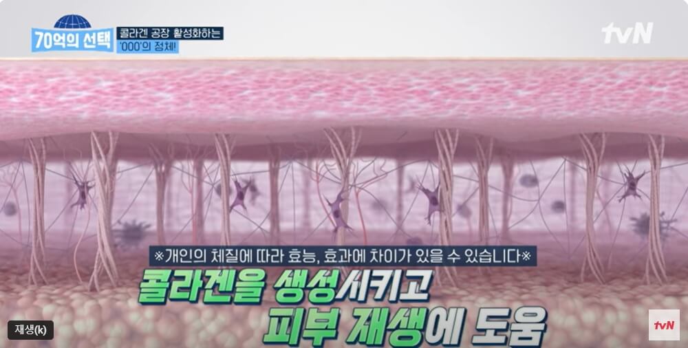 70억의 선택 콜라겐