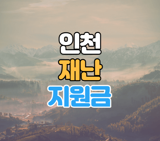 인천 재난지원금 이미지