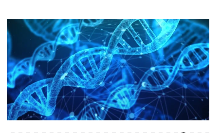 우주에서 인간의 뇌는 어떻게 변할까?