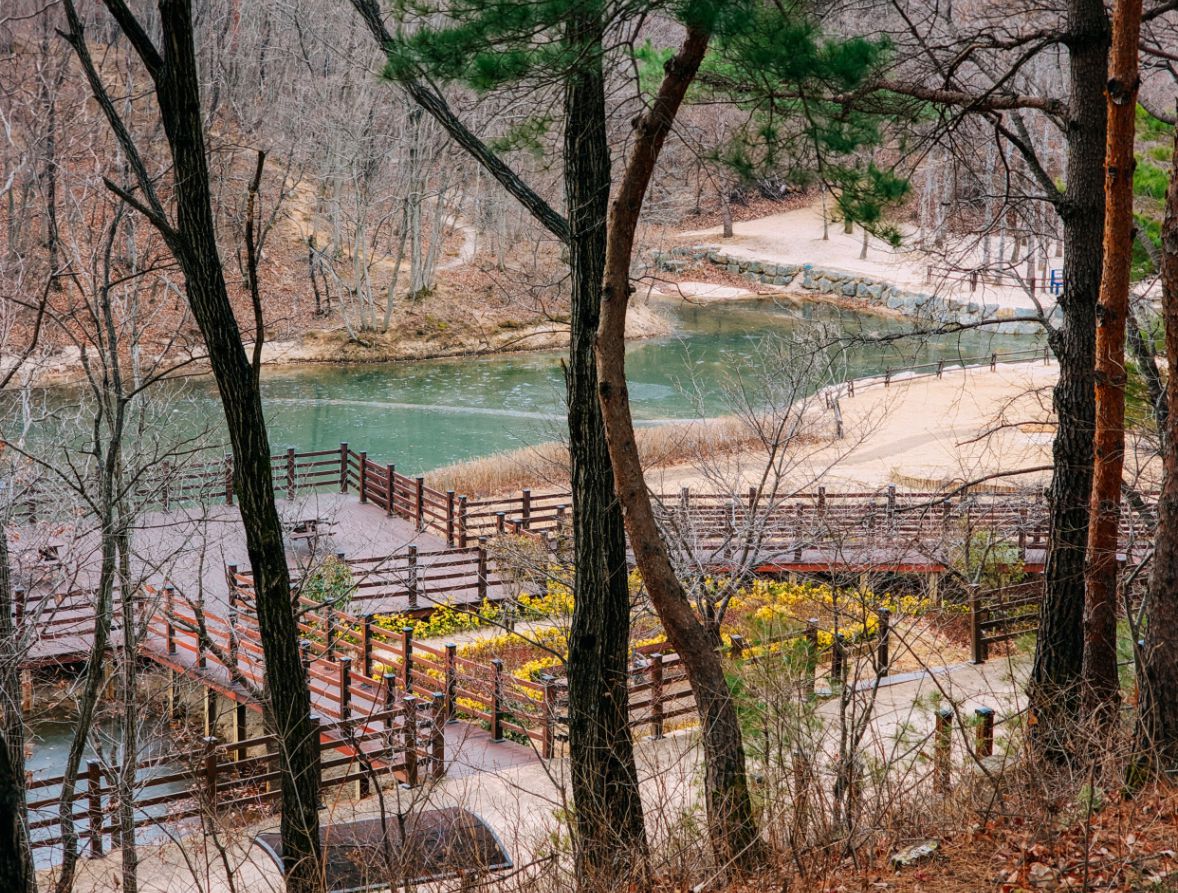 설악산자생식물원