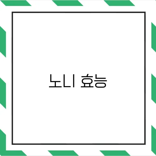 노니 효능