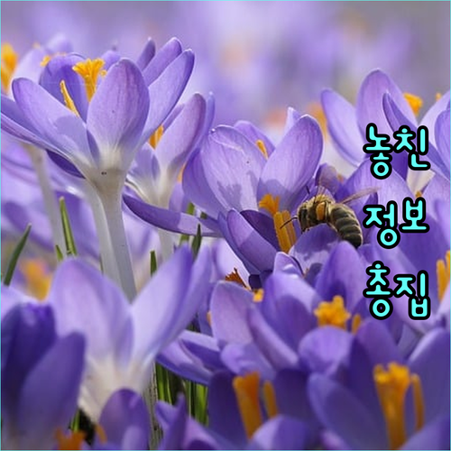 처진 피부 고민 끝 리프팅 시술로 되