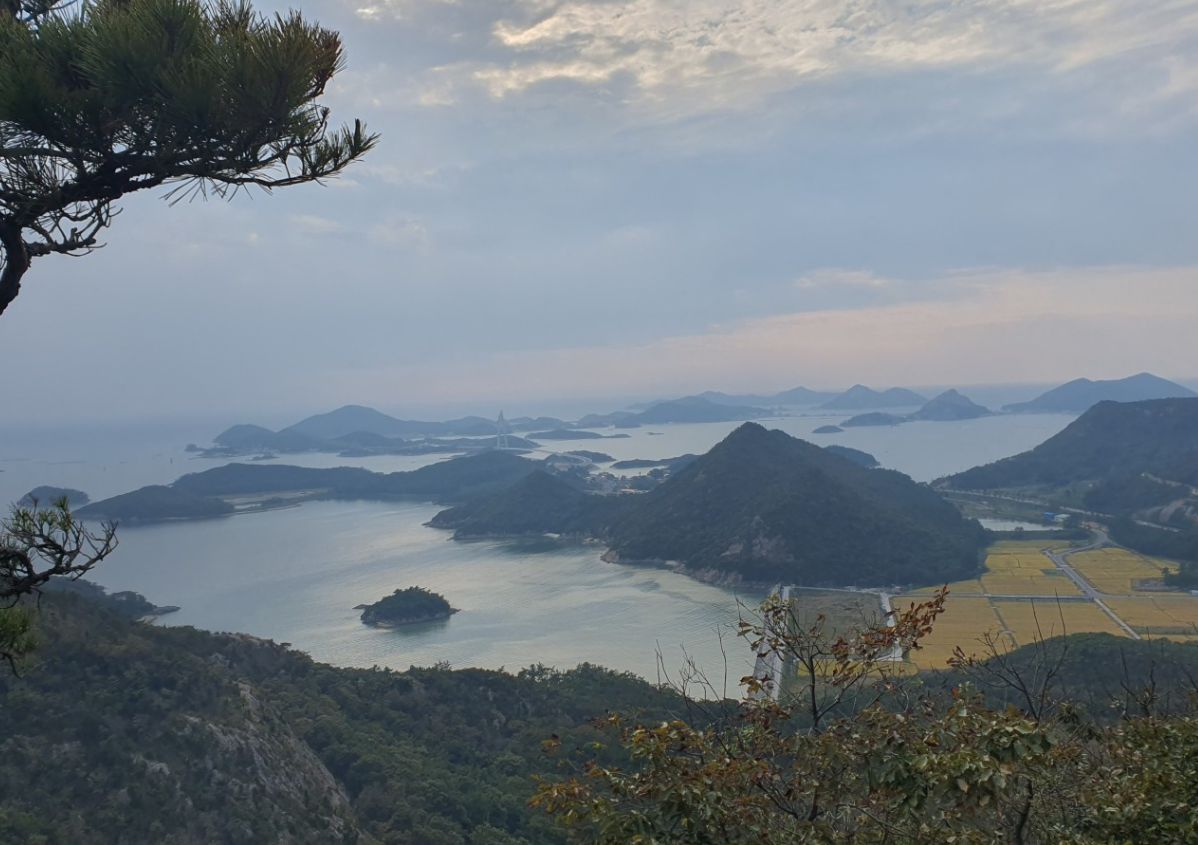 신시도