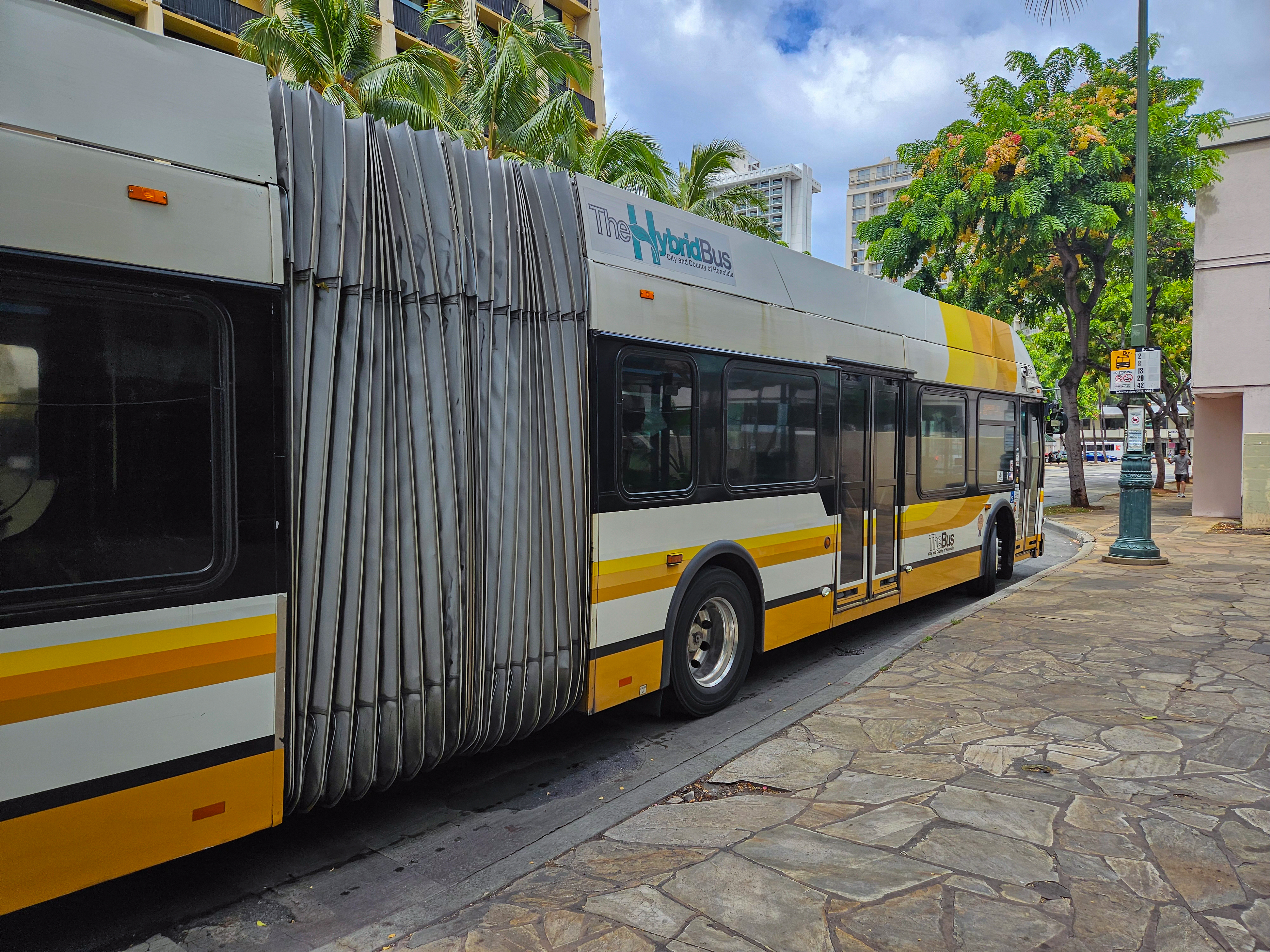 하와이 더 버스 이용 후기