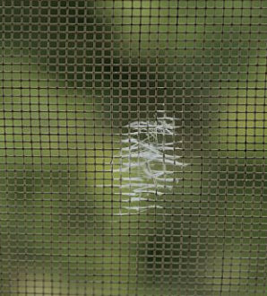 방충망 교체비용&amp;#44; 방충망 셀프교체&amp;#44; 아파트 방충망 교체비용&amp;#44; 방충망 교체방법&amp;#44; 방충망 설치&amp;#44; 방충망 가격&amp;#44; 미세 방충망 가격&amp;#44; 현관 방충망 설치 가격&amp;#44; 베란다 방충망 교체비용&amp;#44; 롤 방충망 가격&amp;#44; 롤 방충망 교체&amp;#44; 방충망 문&amp;#44; 창문 방충망 교체&amp;#44; 창문 방충망 비용&amp;#44; 창문 방충망 설치팁&amp;#44; 방충망 교체비용&amp;#44; 방충망 셀프교체&amp;#44; 아파트 방충망 교체비용&amp;#44; 방충망 교체방법&amp;#44; 방충망 설치&amp;#44; 방충망 가격&amp;#44; 미세 방충망 가격&amp;#44; 현관 방충망 설치 가격&amp;#44; 베란다 방충망 교체비용&amp;#44; 롤 방충망 가격&amp;#44; 롤 방충망 교체&amp;#44; 방충망 문&amp;#44; 창문 방충망 교체&amp;#44; 창문 방충망 비용&amp;#44; 창문 방충망 설치팁&amp;#44; 방충망 교체비용&amp;#44; 방충망 셀프교체&amp;#44; 아파트 방충망 교체비용&amp;#44; 방충망 교체방법&amp;#44; 방충망 설치&amp;#44; 방충망 가격&amp;#44; 미세 방충망 가격&amp;#44; 현관 방충망 설치 가격&amp;#44; 베란다 방충망 교체비용&amp;#44; 롤 방충망 가격&amp;#44; 롤 방충망 교체&amp;#44; 방충망 문&amp;#44; 창문 방충망 교체&amp;#44; 창문 방충망 비용&amp;#44; 창문 방충망 설치팁&amp;#44; 방충망 교체비용&amp;#44; 방충망 셀프교체&amp;#44; 아파트 방충망 교체비용&amp;#44; 방충망 교체방법&amp;#44; 방충망 설치&amp;#44; 방충망 가격&amp;#44; 미세 방충망 가격&amp;#44; 현관 방충망 설치 가격&amp;#44; 베란다 방충망 교체비용&amp;#44; 롤 방충망 가격&amp;#44; 롤 방충망 교체&amp;#44; 방충망 문&amp;#44; 창문 방충망 교체&amp;#44; 창문 방충망 비용&amp;#44; 창문 방충망 설치팁&amp;#44; 방충망 교체비용&amp;#44; 방충망 셀프교체&amp;#44; 아파트 방충망 교체비용&amp;#44; 방충망 교체방법&amp;#44; 방충망 설치&amp;#44; 방충망 가격&amp;#44; 미세 방충망 가격&amp;#44; 현관 방충망 설치 가격&amp;#44; 베란다 방충망 교체비용&amp;#44; 롤 방충망 가격&amp;#44; 롤 방충망 교체&amp;#44; 방충망 문&amp;#44; 창문 방충망 교체&amp;#44; 창문 방충망 비용&amp;#44; 창문 방충망 설치팁&amp;#44; 방충망 교체비용&amp;#44; 방충망 셀프교체&amp;#44; 아파트 방충망 교체비용&amp;#44; 방충망 교체방법&amp;#44; 방충망 설치&amp;#44; 방충망 가격&amp;#44; 미세 방충망 가격&amp;#44; 현관 방충망 설치 가격&amp;#44; 베란다 방충망 교체비용&amp;#44; 롤 방충망 가격&amp;#44; 롤 방충망 교체&amp;#44; 방충망 문&amp;#44; 창문 방충망 교체&amp;#44; 창문 방충망 비용&amp;#44; 창문 방충망 설치팁&amp;#44; 방충망 교체비용&amp;#44; 방충망 셀프교체&amp;#44; 아파트 방충망 교체비용&amp;#44; 방충망 교체방법&amp;#44; 방충망 설치&amp;#44; 방충망 가격&amp;#44; 미세 방충망 가격&amp;#44; 현관 방충망 설치 가격&amp;#44; 베란다 방충망 교체비용&amp;#44; 롤 방충망 가격&amp;#44; 롤 방충망 교체&amp;#44; 방충망 문&amp;#44; 창문 방충망 교체&amp;#44; 창문 방충망 비용&amp;#44; 창문 방충망 설치팁&amp;#44; 방충망 교체비용&amp;#44; 방충망 셀프교체&amp;#44; 아파트 방충망 교체비용&amp;#44; 방충망 교체방법&amp;#44; 방충망 설치&amp;#44; 방충망 가격&amp;#44; 미세 방충망 가격&amp;#44; 현관 방충망 설치 가격&amp;#44; 베란다 방충망 교체비용&amp;#44; 롤 방충망 가격&amp;#44; 롤 방충망 교체&amp;#44; 방충망 문&amp;#44; 창문 방충망 교체&amp;#44; 창문 방충망 비용&amp;#44; 창문 방충망 설치팁&amp;#44; 방충망 교체비용&amp;#44; 방충망 셀프교체&amp;#44; 아파트 방충망 교체비용&amp;#44; 방충망 교체방법&amp;#44; 방충망 설치&amp;#44; 방충망 가격&amp;#44; 미세 방충망 가격&amp;#44; 현관 방충망 설치 가격&amp;#44; 베란다 방충망 교체비용&amp;#44; 롤 방충망 가격&amp;#44; 롤 방충망 교체&amp;#44; 방충망 문&amp;#44; 창문 방충망 교체&amp;#44; 창문 방충망 비용&amp;#44; 창문 방충망 설치팁&amp;#44; 방충망 교체비용&amp;#44; 방충망 셀프교체&amp;#44; 아파트 방충망 교체비용&amp;#44; 방충망 교체방법&amp;#44; 방충망 설치&amp;#44; 방충망 가격&amp;#44; 미세 방충망 가격&amp;#44; 현관 방충망 설치 가격&amp;#44; 베란다 방충망 교체비용&amp;#44; 롤 방충망 가격&amp;#44; 롤 방충망 교체&amp;#44; 방충망 문&amp;#44; 창문 방충망 교체&amp;#44; 창문 방충망 비용&amp;#44; 창문 방충망 설치팁&amp;#44; 방충망 교체비용&amp;#44; 방충망 셀프교체&amp;#44; 아파트 방충망 교체비용&amp;#44; 방충망 교체방법&amp;#44; 방충망 설치&amp;#44; 방충망 가격&amp;#44; 미세 방충망 가격&amp;#44; 현관 방충망 설치 가격&amp;#44; 베란다 방충망 교체비용&amp;#44; 롤 방충망 가격&amp;#44; 롤 방충망 교체&amp;#44; 방충망 문&amp;#44; 창문 방충망 교체&amp;#44; 창문 방충망 비용&amp;#44; 창문 방충망 설치팁&amp;#44; 방충망 교체비용&amp;#44; 방충망 셀프교체&amp;#44; 아파트 방충망 교체비용&amp;#44; 방충망 교체방법&amp;#44; 방충망 설치&amp;#44; 방충망 가격&amp;#44; 미세 방충망 가격&amp;#44; 현관 방충망 설치 가격&amp;#44; 베란다 방충망 교체비용&amp;#44; 롤 방충망 가격&amp;#44; 롤 방충망 교체&amp;#44; 방충망 문&amp;#44; 창문 방충망 교체&amp;#44; 창문 방충망 비용&amp;#44; 창문 방충망 설치팁&amp;#44; 방충망 교체비용&amp;#44; 방충망 셀프교체&amp;#44; 아파트 방충망 교체비용&amp;#44; 방충망 교체방법&amp;#44; 방충망 설치&amp;#44; 방충망 가격&amp;#44; 미세 방충망 가격&amp;#44; 현관 방충망 설치 가격&amp;#44; 베란다 방충망 교체비용&amp;#44; 롤 방충망 가격&amp;#44; 롤 방충망 교체&amp;#44; 방충망 문&amp;#44; 창문 방충망 교체&amp;#44; 창문 방충망 비용&amp;#44; 창문 방충망 설치팁&amp;#44; 방충망 교체비용&amp;#44; 방충망 셀프교체&amp;#44; 아파트 방충망 교체비용&amp;#44; 방충망 교체방법&amp;#44; 방충망 설치&amp;#44; 방충망 가격&amp;#44; 미세 방충망 가격&amp;#44; 현관 방충망 설치 가격&amp;#44; 베란다 방충망 교체비용&amp;#44; 롤 방충망 가격&amp;#44; 롤 방충망 교체&amp;#44; 방충망 문&amp;#44; 창문 방충망 교체&amp;#44; 창문 방충망 비용&amp;#44; 창문 방충망 설치팁&amp;#44; 방충망 교체비용&amp;#44; 방충망 셀프교체&amp;#44; 아파트 방충망 교체비용&amp;#44; 방충망 교체방법&amp;#44; 방충망 설치&amp;#44; 방충망 가격&amp;#44; 미세 방충망 가격&amp;#44; 현관 방충망 설치 가격&amp;#44; 베란다 방충망 교체비용&amp;#44; 롤 방충망 가격&amp;#44; 롤 방충망 교체&amp;#44; 방충망 문&amp;#44; 창문 방충망 교체&amp;#44; 창문 방충망 비용&amp;#44; 창문 방충망 설치팁&amp;#44; 방충망 교체비용&amp;#44; 방충망 셀프교체&amp;#44; 아파트 방충망 교체비용&amp;#44; 방충망 교체방법&amp;#44; 방충망 설치&amp;#44; 방충망 가격&amp;#44; 미세 방충망 가격&amp;#44; 현관 방충망 설치 가격&amp;#44; 베란다 방충망 교체비용&amp;#44; 롤 방충망 가격&amp;#44; 롤 방충망 교체&amp;#44; 방충망 문&amp;#44; 창문 방충망 교체&amp;#44; 창문 방충망 비용&amp;#44; 창문 방충망 설치팁&amp;#44; 방충망 교체비용&amp;#44; 방충망 셀프교체&amp;#44; 아파트 방충망 교체비용&amp;#44; 방충망 교체방법&amp;#44; 방충망 설치&amp;#44; 방충망 가격&amp;#44; 미세 방충망 가격&amp;#44; 현관 방충망 설치 가격&amp;#44; 베란다 방충망 교체비용&amp;#44; 롤 방충망 가격&amp;#44; 롤 방충망 교체&amp;#44; 방충망 문&amp;#44; 창문 방충망 교체&amp;#44; 창문 방충망 비용&amp;#44; 창문 방충망 설치팁&amp;#44; 방충망 교체비용&amp;#44; 방충망 셀프교체&amp;#44; 아파트 방충망 교체비용&amp;#44; 방충망 교체방법&amp;#44; 방충망 설치&amp;#44; 방충망 가격&amp;#44; 미세 방충망 가격&amp;#44; 현관 방충망 설치 가격&amp;#44; 베란다 방충망 교체비용&amp;#44; 롤 방충망 가격&amp;#44; 롤 방충망 교체&amp;#44; 방충망 문&amp;#44; 창문 방충망 교체&amp;#44; 창문 방충망 비용&amp;#44; 창문 방충망 설치팁&amp;#44; 방충망 교체비용&amp;#44; 방충망 셀프교체&amp;#44; 아파트 방충망 교체비용&amp;#44; 방충망 교체방법&amp;#44; 방충망 설치&amp;#44; 방충망 가격&amp;#44; 미세 방충망 가격&amp;#44; 현관 방충망 설치 가격&amp;#44; 베란다 방충망 교체비용&amp;#44; 롤 방충망 가격&amp;#44; 롤 방충망 교체&amp;#44; 방충망 문&amp;#44; 창문 방충망 교체&amp;#44; 창문 방충망 비용&amp;#44; 창문 방충망 설치팁&amp;#44; 방충망 교체비용&amp;#44; 방충망 셀프교체&amp;#44; 아파트 방충망 교체비용&amp;#44; 방충망 교체방법&amp;#44; 방충망 설치&amp;#44; 방충망 가격&amp;#44; 미세 방충망 가격&amp;#44; 현관 방충망 설치 가격&amp;#44; 베란다 방충망 교체비용&amp;#44; 롤 방충망 가격&amp;#44; 롤 방충망 교체&amp;#44; 방충망 문&amp;#44; 창문 방충망 교체&amp;#44; 창문 방충망 비용&amp;#44; 창문 방충망 설치팁&amp;#44; 방충망 교체비용&amp;#44; 방충망 셀프교체&amp;#44; 아파트 방충망 교체비용&amp;#44; 방충망 교체방법&amp;#44; 방충망 설치&amp;#44; 방충망 가격&amp;#44; 미세 방충망 가격&amp;#44; 현관 방충망 설치 가격&amp;#44; 베란다 방충망 교체비용&amp;#44; 롤 방충망 가격&amp;#44; 롤 방충망 교체&amp;#44; 방충망 문&amp;#44; 창문 방충망 교체&amp;#44; 창문 방충망 비용&amp;#44; 창문 방충망 설치팁&amp;#44; 방충망 교체비용&amp;#44; 방충망 셀프교체&amp;#44; 아파트 방충망 교체비용&amp;#44; 방충망 교체방법&amp;#44; 방충망 설치&amp;#44; 방충망 가격&amp;#44; 미세 방충망 가격&amp;#44; 현관 방충망 설치 가격&amp;#44; 베란다 방충망 교체비용&amp;#44; 롤 방충망 가격&amp;#44; 롤 방충망 교체&amp;#44; 방충망 문&amp;#44; 창문 방충망 교체&amp;#44; 창문 방충망 비용&amp;#44; 창문 방충망 설치팁&amp;#44; 방충망 교체비용&amp;#44; 방충망 셀프교체&amp;#44; 아파트 방충망 교체비용&amp;#44; 방충망 교체방법&amp;#44; 방충망 설치&amp;#44; 방충망 가격&amp;#44; 미세 방충망 가격&amp;#44; 현관 방충망 설치 가격&amp;#44; 베란다 방충망 교체비용&amp;#44; 롤 방충망 가격&amp;#44; 롤 방충망 교체&amp;#44; 방충망 문&amp;#44; 창문 방충망 교체&amp;#44; 창문 방충망 비용&amp;#44; 창문 방충망 설치팁&amp;#44; 방충망 교체비용&amp;#44; 방충망 셀프교체&amp;#44; 아파트 방충망 교체비용&amp;#44; 방충망 교체방법&amp;#44; 방충망 설치&amp;#44; 방충망 가격&amp;#44; 미세 방충망 가격&amp;#44; 현관 방충망 설치 가격&amp;#44; 베란다 방충망 교체비용&amp;#44; 롤 방충망 가격&amp;#44; 롤 방충망 교체&amp;#44; 방충망 문&amp;#44; 창문 방충망 교체&amp;#44; 창문 방충망 비용&amp;#44; 창문 방충망 설치팁&amp;#44; 방충망 교체비용&amp;#44; 방충망 셀프교체&amp;#44; 아파트 방충망 교체비용&amp;#44; 방충망 교체방법&amp;#44; 방충망 설치&amp;#44; 방충망 가격&amp;#44; 미세 방충망 가격&amp;#44; 현관 방충망 설치 가격&amp;#44; 베란다 방충망 교체비용&amp;#44; 롤 방충망 가격&amp;#44; 롤 방충망 교체&amp;#44; 방충망 문&amp;#44; 창문 방충망 교체&amp;#44; 창문 방충망 비용&amp;#44; 창문 방충망 설치팁&amp;#44; 방충망 교체비용&amp;#44; 방충망 셀프교체&amp;#44; 아파트 방충망 교체비용&amp;#44; 방충망 교체방법&amp;#44; 방충망 설치&amp;#44; 방충망 가격&amp;#44; 미세 방충망 가격&amp;#44; 현관 방충망 설치 가격&amp;#44; 베란다 방충망 교체비용&amp;#44; 롤 방충망 가격&amp;#44; 롤 방충망 교체&amp;#44; 방충망 문&amp;#44; 창문 방충망 교체&amp;#44; 창문 방충망 비용&amp;#44; 창문 방충망 설치팁&amp;#44; 방충망 교체비용&amp;#44; 방충망 셀프교체&amp;#44; 아파트 방충망 교체비용&amp;#44; 방충망 교체방법&amp;#44; 방충망 설치&amp;#44; 방충망 가격&amp;#44; 미세 방충망 가격&amp;#44; 현관 방충망 설치 가격&amp;#44; 베란다 방충망 교체비용&amp;#44; 롤 방충망 가격&amp;#44; 롤 방충망 교체&amp;#44; 방충망 문&amp;#44; 창문 방충망 교체&amp;#44; 창문 방충망 비용&amp;#44; 창문 방충망 설치팁&amp;#44; 방충망 교체비용&amp;#44; 방충망 셀프교체&amp;#44; 아파트 방충망 교체비용&amp;#44; 방충망 교체방법&amp;#44; 방충망 설치&amp;#44; 방충망 가격&amp;#44; 미세 방충망 가격&amp;#44; 현관 방충망 설치 가격&amp;#44; 베란다 방충망 교체비용&amp;#44; 롤 방충망 가격&amp;#44; 롤 방충망 교체&amp;#44; 방충망 문&amp;#44; 창문 방충망 교체&amp;#44; 창문 방충망 비용&amp;#44; 창문 방충망 설치팁&amp;#44; 방충망 교체비용&amp;#44; 방충망 셀프교체&amp;#44; 아파트 방충망 교체비용&amp;#44; 방충망 교체방법&amp;#44; 방충망 설치&amp;#44; 방충망 가격&amp;#44; 미세 방충망 가격&amp;#44; 현관 방충망 설치 가격&amp;#44; 베란다 방충망 교체비용&amp;#44; 롤 방충망 가격&amp;#44; 롤 방충망 교체&amp;#44; 방충망 문&amp;#44; 창문 방충망 교체&amp;#44; 창문 방충망 비용&amp;#44; 창문 방충망 설치팁&amp;#44; 방충망 교체비용&amp;#44; 방충망 셀프교체&amp;#44; 아파트 방충망 교체비용&amp;#44; 방충망 교체방법&amp;#44; 방충망 설치&amp;#44; 방충망 가격&amp;#44; 미세 방충망 가격&amp;#44; 현관 방충망 설치 가격&amp;#44; 베란다 방충망 교체비용&amp;#44; 롤 방충망 가격&amp;#44; 롤 방충망 교체&amp;#44; 방충망 문&amp;#44; 창문 방충망 교체&amp;#44; 창문 방충망 비용&amp;#44; 창문 방충망 설치팁&amp;#44; 방충망 교체비용&amp;#44; 방충망 셀프교체&amp;#44; 아파트 방충망 교체비용&amp;#44; 방충망 교체방법&amp;#44; 방충망 설치&amp;#44; 방충망 가격&amp;#44; 미세 방충망 가격&amp;#44; 현관 방충망 설치 가격&amp;#44; 베란다 방충망 교체비용&amp;#44; 롤 방충망 가격&amp;#44; 롤 방충망 교체&amp;#44; 방충망 문&amp;#44; 창문 방충망 교체&amp;#44; 창문 방충망 비용&amp;#44; 창문 방충망 설치팁&amp;#44; 방충망 교체비용&amp;#44; 방충망 셀프교체&amp;#44; 아파트 방충망 교체비용&amp;#44; 방충망 교체방법&amp;#44; 방충망 설치&amp;#44; 방충망 가격&amp;#44; 미세 방충망 가격&amp;#44; 현관 방충망 설치 가격&amp;#44; 베란다 방충망 교체비용&amp;#44; 롤 방충망 가격&amp;#44; 롤 방충망 교체&amp;#44; 방충망 문&amp;#44; 창문 방충망 교체&amp;#44; 창문 방충망 비용&amp;#44; 창문 방충망 설치팁&amp;#44; 방충망 교체비용&amp;#44; 방충망 셀프교체&amp;#44; 아파트 방충망 교체비용&amp;#44; 방충망 교체방법&amp;#44; 방충망 설치&amp;#44; 방충망 가격&amp;#44; 미세 방충망 가격&amp;#44; 현관 방충망 설치 가격&amp;#44; 베란다 방충망 교체비용&amp;#44; 롤 방충망 가격&amp;#44; 롤 방충망 교체&amp;#44; 방충망 문&amp;#44; 창문 방충망 교체&amp;#44; 창문 방충망 비용&amp;#44; 창문 방충망 설치팁&amp;#44; 방충망 교체비용&amp;#44; 방충망 셀프교체&amp;#44; 아파트 방충망 교체비용&amp;#44; 방충망 교체방법&amp;#44; 방충망 설치&amp;#44; 방충망 가격&amp;#44; 미세 방충망 가격&amp;#44; 현관 방충망 설치 가격&amp;#44; 베란다 방충망 교체비용&amp;#44; 롤 방충망 가격&amp;#44; 롤 방충망 교체&amp;#44; 방충망 문&amp;#44; 창문 방충망 교체&amp;#44; 창문 방충망 비용&amp;#44; 창문 방충망 설치팁&amp;#44; 방충망 교체비용&amp;#44; 방충망 셀프교체&amp;#44; 아파트 방충망 교체비용&amp;#44; 방충망 교체방법&amp;#44; 방충망 설치&amp;#44; 방충망 가격&amp;#44; 미세 방충망 가격&amp;#44; 현관 방충망 설치 가격&amp;#44; 베란다 방충망 교체비용&amp;#44; 롤 방충망 가격&amp;#44; 롤 방충망 교체&amp;#44; 방충망 문&amp;#44; 창문 방충망 교체&amp;#44; 창문 방충망 비용&amp;#44; 창문 방충망 설치팁&amp;#44; 방충망 교체비용&amp;#44; 방충망 셀프교체&amp;#44; 아파트 방충망 교체비용&amp;#44; 방충망 교체방법&amp;#44; 방충망 설치&amp;#44; 방충망 가격&amp;#44; 미세 방충망 가격&amp;#44; 현관 방충망 설치 가격&amp;#44; 베란다 방충망 교체비용&amp;#44; 롤 방충망 가격&amp;#44; 롤 방충망 교체&amp;#44; 방충망 문&amp;#44; 창문 방충망 교체&amp;#44; 창문 방충망 비용&amp;#44; 창문 방충망 설치팁&amp;#44; 방충망 교체비용&amp;#44; 방충망 셀프교체&amp;#44; 아파트 방충망 교체비용&amp;#44; 방충망 교체방법&amp;#44; 방충망 설치&amp;#44; 방충망 가격&amp;#44; 미세 방충망 가격&amp;#44; 현관 방충망 설치 가격&amp;#44; 베란다 방충망 교체비용&amp;#44; 롤 방충망 가격&amp;#44; 롤 방충망 교체&amp;#44; 방충망 문&amp;#44; 창문 방충망 교체&amp;#44; 창문 방충망 비용&amp;#44; 창문 방충망 설치팁&amp;#44; 방충망 교체비용&amp;#44; 방충망 셀프교체&amp;#44; 아파트 방충망 교체비용&amp;#44; 방충망 교체방법&amp;#44; 방충망 설치&amp;#44; 방충망 가격&amp;#44; 미세 방충망 가격&amp;#44; 현관 방충망 설치 가격&amp;#44; 베란다 방충망 교체비용&amp;#44; 롤 방충망 가격&amp;#44; 롤 방충망 교체&amp;#44; 방충망 문&amp;#44; 창문 방충망 교체&amp;#44; 창문 방충망 비용&amp;#44; 창문 방충망 설치팁&amp;#44; 방충망 교체비용&amp;#44; 방충망 셀프교체&amp;#44; 아파트 방충망 교체비용&amp;#44; 방충망 교체방법&amp;#44; 방충망 설치&amp;#44; 방충망 가격&amp;#44; 미세 방충망 가격&amp;#44; 현관 방충망 설치 가격&amp;#44; 베란다 방충망 교체비용&amp;#44; 롤 방충망 가격&amp;#44; 롤 방충망 교체&amp;#44; 방충망 문&amp;#44; 창문 방충망 교체&amp;#44; 창문 방충망 비용&amp;#44; 창문 방충망 설치팁&amp;#44; 방충망 교체비용&amp;#44; 방충망 셀프교체&amp;#44; 아파트 방충망 교체비용&amp;#44; 방충망 교체방법&amp;#44; 방충망 설치&amp;#44; 방충망 가격&amp;#44; 미세 방충망 가격&amp;#44; 현관 방충망 설치 가격&amp;#44; 베란다 방충망 교체비용&amp;#44; 롤 방충망 가격&amp;#44; 롤 방충망 교체&amp;#44; 방충망 문&amp;#44; 창문 방충망 교체&amp;#44; 창문 방충망 비용&amp;#44; 창문 방충망 설치팁&amp;#44; 방충망 교체비용&amp;#44; 방충망 셀프교체&amp;#44; 아파트 방충망 교체비용&amp;#44; 방충망 교체방법&amp;#44; 방충망 설치&amp;#44; 방충망 가격&amp;#44; 미세 방충망 가격&amp;#44; 현관 방충망 설치 가격&amp;#44; 베란다 방충망 교체비용&amp;#44; 롤 방충망 가격&amp;#44; 롤 방충망 교체&amp;#44; 방충망 문&amp;#44; 창문 방충망 교체&amp;#44; 창문 방충망 비용&amp;#44; 창문 방충망 설치팁&amp;#44; 방충망 교체비용&amp;#44; 방충망 셀프교체&amp;#44; 아파트 방충망 교체비용&amp;#44; 방충망 교체방법&amp;#44; 방충망 설치&amp;#44; 방충망 가격&amp;#44; 미세 방충망 가격&amp;#44; 현관 방충망 설치 가격&amp;#44; 베란다 방충망 교체비용&amp;#44; 롤 방충망 가격&amp;#44; 롤 방충망 교체&amp;#44; 방충망 문&amp;#44; 창문 방충망 교체&amp;#44; 창문 방충망 비용&amp;#44; 창문 방충망 설치팁&amp;#44; 방충망 교체비용&amp;#44; 방충망 셀프교체&amp;#44; 아파트 방충망 교체비용&amp;#44; 방충망 교체방법&amp;#44; 방충망 설치&amp;#44; 방충망 가격&amp;#44; 미세 방충망 가격&amp;#44; 현관 방충망 설치 가격&amp;#44; 베란다 방충망 교체비용&amp;#44; 롤 방충망 가격&amp;#44; 롤 방충망 교체&amp;#44; 방충망 문&amp;#44; 창문 방충망 교체&amp;#44; 창문 방충망 비용&amp;#44; 창문 방충망 설치팁&amp;#44; 방충망 교체비용&amp;#44; 방충망 셀프교체&amp;#44; 아파트 방충망 교체비용&amp;#44; 방충망 교체방법&amp;#44; 방충망 설치&amp;#44; 방충망 가격&amp;#44; 미세 방충망 가격&amp;#44; 현관 방충망 설치 가격&amp;#44; 베란다 방충망 교체비용&amp;#44; 롤 방충망 가격&amp;#44; 롤 방충망 교체&amp;#44; 방충망 문&amp;#44; 창문 방충망 교체&amp;#44; 창문 방충망 비용&amp;#44; 창문 방충망 설치팁&amp;#44; 방충망 교체비용&amp;#44; 방충망 셀프교체&amp;#44; 아파트 방충망 교체비용&amp;#44; 방충망 교체방법&amp;#44; 방충망 설치&amp;#44; 방충망 가격&amp;#44; 미세 방충망 가격&amp;#44; 현관 방충망 설치 가격&amp;#44; 베란다 방충망 교체비용&amp;#44; 롤 방충망 가격&amp;#44; 롤 방충망 교체&amp;#44; 방충망 문&amp;#44; 창문 방충망 교체&amp;#44; 창문 방충망 비용&amp;#44; 창문 방충망 설치팁&amp;#44; 방충망 교체비용&amp;#44; 방충망 셀프교체&amp;#44; 아파트 방충망 교체비용&amp;#44; 방충망 교체방법&amp;#44; 방충망 설치&amp;#44; 방충망 가격&amp;#44; 미세 방충망 가격&amp;#44; 현관 방충망 설치 가격&amp;#44; 베란다 방충망 교체비용&amp;#44; 롤 방충망 가격&amp;#44; 롤 방충망 교체&amp;#44; 방충망 문&amp;#44; 창문 방충망 교체&amp;#44; 창문 방충망 비용&amp;#44; 창문 방충망 설치팁&amp;#44; 방충망 교체비용&amp;#44; 방충망 셀프교체&amp;#44; 아파트 방충망 교체비용&amp;#44; 방충망 교체방법&amp;#44; 방충망 설치&amp;#44; 방충망 가격&amp;#44; 미세 방충망 가격&amp;#44; 현관 방충망 설치 가격&amp;#44; 베란다 방충망 교체비용&amp;#44; 롤 방충망 가격&amp;#44; 롤 방충망 교체&amp;#44; 방충망 문&amp;#44; 창문 방충망 교체&amp;#44; 창문 방충망 비용&amp;#44; 창문 방충망 설치팁&amp;#44; 방충망 교체비용&amp;#44; 방충망 셀프교체&amp;#44; 아파트 방충망 교체비용&amp;#44; 방충망 교체방법&amp;#44; 방충망 설치&amp;#44; 방충망 가격&amp;#44; 미세 방충망 가격&amp;#44; 현관 방충망 설치 가격&amp;#44; 베란다 방충망 교체비용&amp;#44; 롤 방충망 가격&amp;#44; 롤 방충망 교체&amp;#44; 방충망 문&amp;#44; 창문 방충망 교체&amp;#44; 창문 방충망 비용&amp;#44; 창문 방충망 설치팁&amp;#44; 방충망 교체비용&amp;#44; 방충망 셀프교체&amp;#44; 아파트 방충망 교체비용&amp;#44; 방충망 교체방법&amp;#44; 방충망 설치&amp;#44; 방충망 가격&amp;#44; 미세 방충망 가격&amp;#44; 현관 방충망 설치 가격&amp;#44; 베란다 방충망 교체비용&amp;#44; 롤 방충망 가격&amp;#44; 롤 방충망 교체&amp;#44; 방충망 문&amp;#44; 창문 방충망 교체&amp;#44; 창문 방충망 비용&amp;#44; 창문 방충망 설치팁&amp;#44; 방충망 교체비용&amp;#44; 방충망 셀프교체&amp;#44; 아파트 방충망 교체비용&amp;#44; 방충망 교체방법&amp;#44; 방충망 설치&amp;#44; 방충망 가격&amp;#44; 미세 방충망 가격&amp;#44; 현관 방충망 설치 가격&amp;#44; 베란다 방충망 교체비용&amp;#44; 롤 방충망 가격&amp;#44; 롤 방충망 교체&amp;#44; 방충망 문&amp;#44; 창문 방충망 교체&amp;#44; 창문 방충망 비용&amp;#44; 창문 방충망 설치팁&amp;#44; 방충망 교체비용&amp;#44; 방충망 셀프교체&amp;#44; 아파트 방충망 교체비용&amp;#44; 방충망 교체방법&amp;#44; 방충망 설치&amp;#44; 방충망 가격&amp;#44; 미세 방충망 가격&amp;#44; 현관 방충망 설치 가격&amp;#44; 베란다 방충망 교체비용&amp;#44; 롤 방충망 가격&amp;#44; 롤 방충망 교체&amp;#44; 방충망 문&amp;#44; 창문 방충망 교체&amp;#44; 창문 방충망 비용&amp;#44; 창문 방충망 설치팁&amp;#44; 방충망 교체비용&amp;#44; 방충망 셀프교체&amp;#44; 아파트 방충망 교체비용&amp;#44; 방충망 교체방법&amp;#44; 방충망 설치&amp;#44; 방충망 가격&amp;#44; 미세 방충망 가격&amp;#44; 현관 방충망 설치 가격&amp;#44; 베란다 방충망 교체비용&amp;#44; 롤 방충망 가격&amp;#44; 롤 방충망 교체&amp;#44; 방충망 문&amp;#44; 창문 방충망 교체&amp;#44; 창문 방충망 비용&amp;#44; 창문 방충망 설치팁&amp;#44; 방충망 교체비용&amp;#44; 방충망 셀프교체&amp;#44; 아파트 방충망 교체비용&amp;#44; 방충망 교체방법&amp;#44; 방충망 설치&amp;#44; 방충망 가격&amp;#44; 미세 방충망 가격&amp;#44; 현관 방충망 설치 가격&amp;#44; 베란다 방충망 교체비용&amp;#44; 롤 방충망 가격&amp;#44; 롤 방충망 교체&amp;#44; 방충망 문&amp;#44; 창문 방충망 교체&amp;#44; 창문 방충망 비용&amp;#44; 창문 방충망 설치팁&amp;#44; 방충망 교체비용&amp;#44; 방충망 셀프교체&amp;#44; 아파트 방충망 교체비용&amp;#44; 방충망 교체방법&amp;#44; 방충망 설치&amp;#44; 방충망 가격&amp;#44; 미세 방충망 가격&amp;#44; 현관 방충망 설치 가격&amp;#44; 베란다 방충망 교체비용&amp;#44; 롤 방충망 가격&amp;#44; 롤 방충망 교체&amp;#44; 방충망 문&amp;#44; 창문 방충망 교체&amp;#44; 창문 방충망 비용&amp;#44; 창문 방충망 설치팁&amp;#44; 방충망 교체비용&amp;#44; 방충망 셀프교체&amp;#44; 아파트 방충망 교체비용&amp;#44; 방충망 교체방법&amp;#44; 방충망 설치&amp;#44; 방충망 가격&amp;#44; 미세 방충망 가격&amp;#44; 현관 방충망 설치 가격&amp;#44; 베란다 방충망 교체비용&amp;#44; 롤 방충망 가격&amp;#44; 롤 방충망 교체&amp;#44; 방충망 문&amp;#44; 창문 방충망 교체&amp;#44; 창문 방충망 비용&amp;#44; 창문 방충망 설치팁&amp;#44; 방충망 교체비용&amp;#44; 방충망 셀프교체&amp;#44; 아파트 방충망 교체비용&amp;#44; 방충망 교체방법&amp;#44; 방충망 설치&amp;#44; 방충망 가격&amp;#44; 미세 방충망 가격&amp;#44; 현관 방충망 설치 가격&amp;#44; 베란다 방충망 교체비용&amp;#44; 롤 방충망 가격&amp;#44; 롤 방충망 교체&amp;#44; 방충망 문&amp;#44; 창문 방충망 교체&amp;#44; 창문 방충망 비용&amp;#44; 창문 방충망 설치팁&amp;#44; 방충망 교체비용&amp;#44; 방충망 셀프교체&amp;#44; 아파트 방충망 교체비용&amp;#44; 방충망 교체방법&amp;#44; 방충망 설치&amp;#44; 방충망 가격&amp;#44; 미세 방충망 가격&amp;#44; 현관 방충망 설치 가격&amp;#44; 베란다 방충망 교체비용&amp;#44; 롤 방충망 가격&amp;#44; 롤 방충망 교체&amp;#44; 방충망 문&amp;#44; 창문 방충망 교체&amp;#44; 창문 방충망 비용&amp;#44; 창문 방충망 설치팁&amp;#44; 방충망 교체비용&amp;#44; 방충망 셀프교체&amp;#44; 아파트 방충망 교체비용&amp;#44; 방충망 교체방법&amp;#44; 방충망 설치&amp;#44; 방충망 가격&amp;#44; 미세 방충망 가격&amp;#44; 현관 방충망 설치 가격&amp;#44; 베란다 방충망 교체비용&amp;#44; 롤 방충망 가격&amp;#44; 롤 방충망 교체&amp;#44; 방충망 문&amp;#44; 창문 방충망 교체&amp;#44; 창문 방충망 비용&amp;#44; 창문 방충망 설치팁&amp;#44; 방충망 교체비용&amp;#44; 방충망 셀프교체&amp;#44; 아파트 방충망 교체비용&amp;#44; 방충망 교체방법&amp;#44; 방충망 설치&amp;#44; 방충망 가격&amp;#44; 미세 방충망 가격&amp;#44; 현관 방충망 설치 가격&amp;#44; 베란다 방충망 교체비용&amp;#44; 롤 방충망 가격&amp;#44; 롤 방충망 교체&amp;#44; 방충망 문&amp;#44; 창문 방충망 교체&amp;#44; 창문 방충망 비용&amp;#44; 창문 방충망 설치팁&amp;#44; 방충망 교체비용&amp;#44; 방충망 셀프교체&amp;#44; 아파트 방충망 교체비용&amp;#44; 방충망 교체방법&amp;#44; 방충망 설치&amp;#44; 방충망 가격&amp;#44; 미세 방충망 가격&amp;#44; 현관 방충망 설치 가격&amp;#44; 베란다 방충망 교체비용&amp;#44; 롤 방충망 가격&amp;#44; 롤 방충망 교체&amp;#44; 방충망 문&amp;#44; 창문 방충망 교체&amp;#44; 창문 방충망 비용&amp;#44; 창문 방충망 설치팁&amp;#44; 방충망 교체비용&amp;#44; 방충망 셀프교체&amp;#44; 아파트 방충망 교체비용&amp;#44; 방충망 교체방법&amp;#44; 방충망 설치&amp;#44; 방충망 가격&amp;#44; 미세 방충망 가격&amp;#44; 현관 방충망 설치 가격&amp;#44; 베란다 방충망 교체비용&amp;#44; 롤 방충망 가격&amp;#44; 롤 방충망 교체&amp;#44; 방충망 문&amp;#44; 창문 방충망 교체&amp;#44; 창문 방충망 비용&amp;#44; 창문 방충망 설치팁&amp;#44; 방충망 교체비용&amp;#44; 방충망 셀프교체&amp;#44; 아파트 방충망 교체비용&amp;#44; 방충망 교체방법&amp;#44; 방충망 설치&amp;#44; 방충망 가격&amp;#44; 미세 방충망 가격&amp;#44; 현관 방충망 설치 가격&amp;#44; 베란다 방충망 교체비용&amp;#44; 롤 방충망 가격&amp;#44; 롤 방충망 교체&amp;#44; 방충망 문&amp;#44; 창문 방충망 교체&amp;#44; 창문 방충망 비용&amp;#44; 창문 방충망 설치팁&amp;#44; 방충망 교체비용&amp;#44; 방충망 셀프교체&amp;#44; 아파트 방충망 교체비용&amp;#44; 방충망 교체방법&amp;#44; 방충망 설치&amp;#44; 방충망 가격&amp;#44; 미세 방충망 가격&amp;#44; 현관 방충망 설치 가격&amp;#44; 베란다 방충망 교체비용&amp;#44; 롤 방충망 가격&amp;#44; 롤 방충망 교체&amp;#44; 방충망 문&amp;#44; 창문 방충망 교체&amp;#44; 창문 방충망 비용&amp;#44; 창문 방충망 설치팁&amp;#44; 방충망 교체비용&amp;#44; 방충망 셀프교체&amp;#44; 아파트 방충망 교체비용&amp;#44; 방충망 교체방법&amp;#44; 방충망 설치&amp;#44; 방충망 가격&amp;#44; 미세 방충망 가격&amp;#44; 현관 방충망 설치 가격&amp;#44; 베란다 방충망 교체비용&amp;#44; 롤 방충망 가격&amp;#44; 롤 방충망 교체&amp;#44; 방충망 문&amp;#44; 창문 방충망 교체&amp;#44; 창문 방충망 비용&amp;#44; 창문 방충망 설치팁&amp;#44; 방충망 교체비용&amp;#44; 방충망 셀프교체&amp;#44; 아파트 방충망 교체비용&amp;#44; 방충망 교체방법&amp;#44; 방충망 설치&amp;#44; 방충망 가격&amp;#44; 미세 방충망 가격&amp;#44; 현관 방충망 설치 가격&amp;#44; 베란다 방충망 교체비용&amp;#44; 롤 방충망 가격&amp;#44; 롤 방충망 교체&amp;#44; 방충망 문&amp;#44; 창문 방충망 교체&amp;#44; 창문 방충망 비용&amp;#44; 창문 방충망 설치팁&amp;#44; 방충망 교체비용&amp;#44; 방충망 셀프교체&amp;#44; 아파트 방충망 교체비용&amp;#44; 방충망 교체방법&amp;#44; 방충망 설치&amp;#44; 방충망 가격&amp;#44; 미세 방충망 가격&amp;#44; 현관 방충망 설치 가격&amp;#44; 베란다 방충망 교체비용&amp;#44; 롤 방충망 가격&amp;#44; 롤 방충망 교체&amp;#44; 방충망 문&amp;#44; 창문 방충망 교체&amp;#44; 창문 방충망 비용&amp;#44; 창문 방충망 설치팁&amp;#44; 방충망 교체비용&amp;#44; 방충망 셀프교체&amp;#44; 아파트 방충망 교체비용&amp;#44; 방충망 교체방법&amp;#44; 방충망 설치&amp;#44; 방충망 가격&amp;#44; 미세 방충망 가격&amp;#44; 현관 방충망 설치 가격&amp;#44; 베란다 방충망 교체비용&amp;#44; 롤 방충망 가격&amp;#44; 롤 방충망 교체&amp;#44; 방충망 문&amp;#44; 창문 방충망 교체&amp;#44; 창문 방충망 비용&amp;#44; 창문 방충망 설치팁&amp;#44; 방충망 교체비용&amp;#44; 방충망 셀프교체&amp;#44; 아파트 방충망 교체비용&amp;#44; 방충망 교체방법&amp;#44; 방충망 설치&amp;#44; 방충망 가격&amp;#44; 미세 방충망 가격&amp;#44; 현관 방충망 설치 가격&amp;#44; 베란다 방충망 교체비용&amp;#44; 롤 방충망 가격&amp;#44; 롤 방충망 교체&amp;#44; 방충망 문&amp;#44; 창문 방충망 교체&amp;#44; 창문 방충망 비용&amp;#44; 창문 방충망 설치팁&amp;#44; 방충망 교체비용&amp;#44; 방충망 셀프교체&amp;#44; 아파트 방충망 교체비용&amp;#44; 방충망 교체방법&amp;#44; 방충망 설치&amp;#44; 방충망 가격&amp;#44; 미세 방충망 가격&amp;#44; 현관 방충망 설치 가격&amp;#44; 베란다 방충망 교체비용&amp;#44; 롤 방충망 가격&amp;#44; 롤 방충망 교체&amp;#44; 방충망 문&amp;#44; 창문 방충망 교체&amp;#44; 창문 방충망 비용&amp;#44; 창문 방충망 설치팁&amp;#44; 방충망 교체비용&amp;#44; 방충망 셀프교체&amp;#44; 아파트 방충망 교체비용&amp;#44; 방충망 교체방법&amp;#44; 방충망 설치&amp;#44; 방충망 가격&amp;#44; 미세 방충망 가격&amp;#44; 현관 방충망 설치 가격&amp;#44; 베란다 방충망 교체비용&amp;#44; 롤 방충망 가격&amp;#44; 롤 방충망 교체&amp;#44; 방충망 문&amp;#44; 창문 방충망 교체&amp;#44; 창문 방충망 비용&amp;#44; 창문 방충망 설치팁&amp;#44; 방충망 교체비용&amp;#44; 방충망 셀프교체&amp;#44; 아파트 방충망 교체비용&amp;#44; 방충망 교체방법&amp;#44; 방충망 설치&amp;#44; 방충망 가격&amp;#44; 미세 방충망 가격&amp;#44; 현관 방충망 설치 가격&amp;#44; 베란다 방충망 교체비용&amp;#44; 롤 방충망 가격&amp;#44; 롤 방충망 교체&amp;#44; 방충망 문&amp;#44; 창문 방충망 교체&amp;#44; 창문 방충망 비용&amp;#44; 창문 방충망 설치팁&amp;#44; 방충망 교체비용&amp;#44; 방충망 셀프교체&amp;#44; 아파트 방충망 교체비용&amp;#44; 방충망 교체방법&amp;#44; 방충망 설치&amp;#44; 방충망 가격&amp;#44; 미세 방충망 가격&amp;#44; 현관 방충망 설치 가격&amp;#44; 베란다 방충망 교체비용&amp;#44; 롤 방충망 가격&amp;#44; 롤 방충망 교체&amp;#44; 방충망 문&amp;#44; 창문 방충망 교체&amp;#44; 창문 방충망 비용&amp;#44; 창문 방충망 설치팁&amp;#44; 방충망 교체비용&amp;#44; 방충망 셀프교체&amp;#44; 아파트 방충망 교체비용&amp;#44; 방충망 교체방법&amp;#44; 방충망 설치&amp;#44; 방충망 가격&amp;#44; 미세 방충망 가격&amp;#44; 현관 방충망 설치 가격&amp;#44; 베란다 방충망 교체비용&amp;#44; 롤 방충망 가격&amp;#44; 롤 방충망 교체&amp;#44; 방충망 문&amp;#44; 창문 방충망 교체&amp;#44; 창문 방충망 비용&amp;#44; 창문 방충망 설치팁&amp;#44; 방충망 교체비용&amp;#44; 방충망 셀프교체&amp;#44; 아파트 방충망 교체비용&amp;#44; 방충망 교체방법&amp;#44; 방충망 설치&amp;#44; 방충망 가격&amp;#44; 미세 방충망 가격&amp;#44; 현관 방충망 설치 가격&amp;#44; 베란다 방충망 교체비용&amp;#44; 롤 방충망 가격&amp;#44; 롤 방충망 교체&amp;#44; 방충망 문&amp;#44; 창문 방충망 교체&amp;#44; 창문 방충망 비용&amp;#44; 창문 방충망 설치팁&amp;#44; 방충망 교체비용&amp;#44; 방충망 셀프교체&amp;#44; 아파트 방충망 교체비용&amp;#44; 방충망 교체방법&amp;#44; 방충망 설치&amp;#44; 방충망 가격&amp;#44; 미세 방충망 가격&amp;#44; 현관 방충망 설치 가격&amp;#44; 베란다 방충망 교체비용&amp;#44; 롤 방충망 가격&amp;#44; 롤 방충망 교체&amp;#44; 방충망 문&amp;#44; 창문 방충망 교체&amp;#44; 창문 방충망 비용&amp;#44; 창문 방충망 설치팁&amp;#44; 방충망 교체비용&amp;#44; 방충망 셀프교체&amp;#44; 아파트 방충망 교체비용&amp;#44; 방충망 교체방법&amp;#44; 방충망 설치&amp;#44; 방충망 가격&amp;#44; 미세 방충망 가격&amp;#44; 현관 방충망 설치 가격&amp;#44; 베란다 방충망 교체비용&amp;#44; 롤 방충망 가격&amp;#44; 롤 방충망 교체&amp;#44; 방충망 문&amp;#44; 창문 방충망 교체&amp;#44; 창문 방충망 비용&amp;#44; 창문 방충망 설치팁&amp;#44; 방충망 교체비용&amp;#44; 방충망 셀프교체&amp;#44; 아파트 방충망 교체비용&amp;#44; 방충망 교체방법&amp;#44; 방충망 설치&amp;#44; 방충망 가격&amp;#44; 미세 방충망 가격&amp;#44; 현관 방충망 설치 가격&amp;#44; 베란다 방충망 교체비용&amp;#44; 롤 방충망 가격&amp;#44; 롤 방충망 교체&amp;#44; 방충망 문&amp;#44; 창문 방충망 교체&amp;#44; 창문 방충망 비용&amp;#44; 창문 방충망 설치팁&amp;#44; 방충망 교체비용&amp;#44; 방충망 셀프교체&amp;#44; 아파트 방충망 교체비용&amp;#44; 방충망 교체방법&amp;#44; 방충망 설치&amp;#44; 방충망 가격&amp;#44; 미세 방충망 가격&amp;#44; 현관 방충망 설치 가격&amp;#44; 베란다 방충망 교체비용&amp;#44; 롤 방충망 가격&amp;#44; 롤 방충망 교체&amp;#44; 방충망 문&amp;#44; 창문 방충망 교체&amp;#44; 창문 방충망 비용&amp;#44; 창문 방충망 설치팁&amp;#44; 방충망 교체비용&amp;#44; 방충망 셀프교체&amp;#44; 아파트 방충망 교체비용&amp;#44; 방충망 교체방법&amp;#44; 방충망 설치&amp;#44; 방충망 가격&amp;#44; 미세 방충망 가격&amp;#44; 현관 방충망 설치 가격&amp;#44; 베란다 방충망 교체비용&amp;#44; 롤 방충망 가격&amp;#44; 롤 방충망 교체&amp;#44; 방충망 문&amp;#44; 창문 방충망 교체&amp;#44; 창문 방충망 비용&amp;#44; 창문 방충망 설치팁&amp;#44; 방충망 교체비용&amp;#44; 방충망 셀프교체&amp;#44; 아파트 방충망 교체비용&amp;#44; 방충망 교체방법&amp;#44; 방충망 설치&amp;#44; 방충망 가격&amp;#44; 미세 방충망 가격&amp;#44; 현관 방충망 설치 가격&amp;#44; 베란다 방충망 교체비용&amp;#44; 롤 방충망 가격&amp;#44; 롤 방충망 교체&amp;#44; 방충망 문&amp;#44; 창문 방충망 교체&amp;#44; 창문 방충망 비용&amp;#44; 창문 방충망 설치팁&amp;#44; 방충망 교체비용&amp;#44; 방충망 셀프교체&amp;#44; 아파트 방충망 교체비용&amp;#44; 방충망 교체방법&amp;#44; 방충망 설치&amp;#44; 방충망 가격&amp;#44; 미세 방충망 가격&amp;#44; 현관 방충망 설치 가격&amp;#44; 베란다 방충망 교체비용&amp;#44; 롤 방충망 가격&amp;#44; 롤 방충망 교체&amp;#44; 방충망 문&amp;#44; 창문 방충망 교체&amp;#44; 창문 방충망 비용&amp;#44; 창문 방충망 설치팁&amp;#44; 방충망 교체비용&amp;#44; 방충망 셀프교체&amp;#44; 아파트 방충망 교체비용&amp;#44; 방충망 교체방법&amp;#44; 방충망 설치&amp;#44; 방충망 가격&amp;#44; 미세 방충망 가격&amp;#44; 현관 방충망 설치 가격&amp;#44; 베란다 방충망 교체비용&amp;#44; 롤 방충망 가격&amp;#44; 롤 방충망 교체&amp;#44; 방충망 문&amp;#44; 창문 방충망 교체&amp;#44; 창문 방충망 비용&amp;#44; 창문 방충망 설치팁&amp;#44; 방충망 교체비용&amp;#44; 방충망 셀프교체&amp;#44; 아파트 방충망 교체비용&amp;#44; 방충망 교체방법&amp;#44; 방충망 설치&amp;#44; 방충망 가격&amp;#44; 미세 방충망 가격&amp;#44; 현관 방충망 설치 가격&amp;#44; 베란다 방충망 교체비용&amp;#44; 롤 방충망 가격&amp;#44; 롤 방충망 교체&amp;#44; 방충망 문&amp;#44; 창문 방충망 교체&amp;#44; 창문 방충망 비용&amp;#44; 창문 방충망 설치팁&amp;#44; 방충망 교체비용&amp;#44; 방충망 셀프교체&amp;#44; 아파트 방충망 교체비용&amp;#44; 방충망 교체방법&amp;#44; 방충망 설치&amp;#44; 방충망 가격&amp;#44; 미세 방충망 가격&amp;#44; 현관 방충망 설치 가격&amp;#44; 베란다 방충망 교체비용&amp;#44; 롤 방충망 가격&amp;#44; 롤 방충망 교체&amp;#44; 방충망 문&amp;#44; 창문 방충망 교체&amp;#44; 창문 방충망 비용&amp;#44; 창문 방충망 설치팁&amp;#44; 방충망 교체비용&amp;#44; 방충망 셀프교체&amp;#44; 아파트 방충망 교체비용&amp;#44; 방충망 교체방법&amp;#44; 방충망 설치&amp;#44; 방충망 가격&amp;#44; 미세 방충망 가격&amp;#44; 현관 방충망 설치 가격&amp;#44; 베란다 방충망 교체비용&amp;#44; 롤 방충망 가격&amp;#44; 롤 방충망 교체&amp;#44; 방충망 문&amp;#44; 창문 방충망 교체&amp;#44; 창문 방충망 비용&amp;#44; 창문 방충망 설치팁&amp;#44; 방충망 교체비용&amp;#44; 방충망 셀프교체&amp;#44; 아파트 방충망 교체비용&amp;#44; 방충망 교체방법&amp;#44; 방충망 설치&amp;#44; 방충망 가격&amp;#44; 미세 방충망 가격&amp;#44; 현관 방충망 설치 가격&amp;#44; 베란다 방충망 교체비용&amp;#44; 롤 방충망 가격&amp;#44; 롤 방충망 교체&amp;#44; 방충망 문&amp;#44; 창문 방충망 교체&amp;#44; 창문 방충망 비용&amp;#44; 창문 방충망 설치팁&amp;#44; 방충망 교체비용&amp;#44; 방충망 셀프교체&amp;#44; 아파트 방충망 교체비용&amp;#44; 방충망 교체방법&amp;#44; 방충망 설치&amp;#44; 방충망 가격&amp;#44; 미세 방충망 가격&amp;#44; 현관 방충망 설치 가격&amp;#44; 베란다 방충망 교체비용&amp;#44; 롤 방충망 가격&amp;#44; 롤 방충망 교체&amp;#44; 방충망 문&amp;#44; 창문 방충망 교체&amp;#44; 창문 방충망 비용&amp;#44; 창문 방충망 설치팁&amp;#44; 방충망 교체비용&amp;#44; 방충망 셀프교체&amp;#44; 아파트 방충망 교체비용&amp;#44; 방충망 교체방법&amp;#44; 방충망 설치&amp;#44; 방충망 가격&amp;#44; 미세 방충망 가격&amp;#44; 현관 방충망 설치 가격&amp;#44; 베란다 방충망 교체비용&amp;#44; 롤 방충망 가격&amp;#44; 롤 방충망 교체&amp;#44; 방충망 문&amp;#44; 창문 방충망 교체&amp;#44; 창문 방충망 비용&amp;#44; 창문 방충망 설치팁&amp;#44; 방충망 교체비용&amp;#44; 방충망 셀프교체&amp;#44; 아파트 방충망 교체비용&amp;#44; 방충망 교체방법&amp;#44; 방충망 설치&amp;#44; 방충망 가격&amp;#44; 미세 방충망 가격&amp;#44; 현관 방충망 설치 가격&amp;#44; 베란다 방충망 교체비용&amp;#44; 롤 방충망 가격&amp;#44; 롤 방충망 교체&amp;#44; 방충망 문&amp;#44; 창문 방충망 교체&amp;#44; 창문 방충망 비용&amp;#44; 창문 방충망 설치팁&amp;#44; 방충망 교체비용&amp;#44; 방충망 셀프교체&amp;#44; 아파트 방충망 교체비용&amp;#44; 방충망 교체방법&amp;#44; 방충망 설치&amp;#44; 방충망 가격&amp;#44; 미세 방충망 가격&amp;#44; 현관 방충망 설치 가격&amp;#44; 베란다 방충망 교체비용&amp;#44; 롤 방충망 가격&amp;#44; 롤 방충망 교체&amp;#44; 방충망 문&amp;#44; 창문 방충망 교체&amp;#44; 창문 방충망 비용&amp;#44; 창문 방충망 설치팁&amp;#44; 방충망 교체비용&amp;#44; 방충망 셀프교체&amp;#44; 아파트 방충망 교체비용&amp;#44; 방충망 교체방법&amp;#44; 방충망 설치&amp;#44; 방충망 가격&amp;#44; 미세 방충망 가격&amp;#44; 현관 방충망 설치 가격&amp;#44; 베란다 방충망 교체비용&amp;#44; 롤 방충망 가격&amp;#44; 롤 방충망 교체&amp;#44; 방충망 문&amp;#44; 창문 방충망 교체&amp;#44; 창문 방충망 비용&amp;#44; 창문 방충망 설치팁&amp;#44; 방충망 교체비용&amp;#44; 방충망 셀프교체&amp;#44; 아파트 방충망 교체비용&amp;#44; 방충망 교체방법&amp;#44; 방충망 설치&amp;#44; 방충망 가격&amp;#44; 미세 방충망 가격&amp;#44; 현관 방충망 설치 가격&amp;#44; 베란다 방충망 교체비용&amp;#44; 롤 방충망 가격&amp;#44; 롤 방충망 교체&amp;#44; 방충망 문&amp;#44; 창문 방충망 교체&amp;#44; 창문 방충망 비용&amp;#44; 창문 방충망 설치팁&amp;#44; 방충망 교체비용&amp;#44; 방충망 셀프교체&amp;#44; 아파트 방충망 교체비용&amp;#44; 방충망 교체방법&amp;#44; 방충망 설치&amp;#44; 방충망 가격&amp;#44; 미세 방충망 가격&amp;#44; 현관 방충망 설치 가격&amp;#44; 베란다 방충망 교체비용&amp;#44; 롤 방충망 가격&amp;#44; 롤 방충망 교체&amp;#44; 방충망 문&amp;#44; 창문 방충망 교체&amp;#44; 창문 방충망 비용&amp;#44; 창문 방충망 설치팁&amp;#44; 방충망 교체비용&amp;#44; 방충망 셀프교체&amp;#44; 아파트 방충망 교체비용&amp;#44; 방충망 교체방법&amp;#44; 방충망 설치&amp;#44; 방충망 가격&amp;#44; 미세 방충망 가격&amp;#44; 현관 방충망 설치 가격&amp;#44; 베란다 방충망 교체비용&amp;#44; 롤 방충망 가격&amp;#44; 롤 방충망 교체&amp;#44; 방충망 문&amp;#44; 창문 방충망 교체&amp;#44; 창문 방충망 비용&amp;#44; 창문 방충망 설치팁&amp;#44; 방충망 교체비용&amp;#44; 방충망 셀프교체&amp;#44; 아파트 방충망 교체비용&amp;#44; 방충망 교체방법&amp;#44; 방충망 설치&amp;#44; 방충망 가격&amp;#44; 미세 방충망 가격&amp;#44; 현관 방충망 설치 가격&amp;#44; 베란다 방충망 교체비용&amp;#44; 롤 방충망 가격&amp;#44; 롤 방충망 교체&amp;#44; 방충망 문&amp;#44; 창문 방충망 교체&amp;#44; 창문 방충망 비용&amp;#44; 창문 방충망 설치팁&amp;#44; 방충망 교체비용&amp;#44; 방충망 셀프교체&amp;#44; 아파트 방충망 교체비용&amp;#44; 방충망 교체방법&amp;#44; 방충망 설치&amp;#44; 방충망 가격&amp;#44; 미세 방충망 가격&amp;#44; 현관 방충망 설치 가격&amp;#44; 베란다 방충망 교체비용&amp;#44; 롤 방충망 가격&amp;#44; 롤 방충망 교체&amp;#44; 방충망 문&amp;#44; 창문 방충망 교체&amp;#44; 창문 방충망 비용&amp;#44; 창문 방충망 설치팁&amp;#44; 방충망 교체비용&amp;#44; 방충망 셀프교체&amp;#44; 아파트 방충망 교체비용&amp;#44; 방충망 교체방법&amp;#44; 방충망 설치&amp;#44; 방충망 가격&amp;#44; 미세 방충망 가격&amp;#44; 현관 방충망 설치 가격&amp;#44; 베란다 방충망 교체비용&amp;#44; 롤 방충망 가격&amp;#44; 롤 방충망 교체&amp;#44; 방충망 문&amp;#44; 창문 방충망 교체&amp;#44; 창문 방충망 비용&amp;#44; 창문 방충망 설치팁&amp;#44; 방충망 교체비용&amp;#44; 방충망 셀프교체&amp;#44; 아파트 방충망 교체비용&amp;#44; 방충망 교체방법&amp;#44; 방충망 설치&amp;#44; 방충망 가격&amp;#44; 미세 방충망 가격&amp;#44; 현관 방충망 설치 가격&amp;#44; 베란다 방충망 교체비용&amp;#44; 롤 방충망 가격&amp;#44; 롤 방충망 교체&amp;#44; 방충망 문&amp;#44; 창문 방충망 교체&amp;#44; 창문 방충망 비용&amp;#44; 창문 방충망 설치팁&amp;#44; 방충망 교체비용&amp;#44; 방충망 셀프교체&amp;#44; 아파트 방충망 교체비용&amp;#44; 방충망 교체방법&amp;#44; 방충망 설치&amp;#44; 방충망 가격&amp;#44; 미세 방충망 가격&amp;#44; 현관 방충망 설치 가격&amp;#44; 베란다 방충망 교체비용&amp;#44; 롤 방충망 가격&amp;#44; 롤 방충망 교체&amp;#44; 방충망 문&amp;#44; 창문 방충망 교체&amp;#44; 창문 방충망 비용&amp;#44; 창문 방충망 설치팁&amp;#44; 방충망 교체비용&amp;#44; 방충망 셀프교체&amp;#44; 아파트 방충망 교체비용&amp;#44; 방충망 교체방법&amp;#44; 방충망 설치&amp;#44; 방충망 가격&amp;#44; 미세 방충망 가격&amp;#44; 현관 방충망 설치 가격&amp;#44; 베란다 방충망 교체비용&amp;#44; 롤 방충망 가격&amp;#44; 롤 방충망 교체&amp;#44; 방충망 문&amp;#44; 창문 방충망 교체&amp;#44; 창문 방충망 비용&amp;#44; 창문 방충망 설치팁&amp;#44; 방충망 교체비용&amp;#44; 방충망 셀프교체&amp;#44; 아파트 방충망 교체비용&amp;#44; 방충망 교체방법&amp;#44; 방충망 설치&amp;#44; 방충망 가격&amp;#44; 미세 방충망 가격&amp;#44; 현관 방충망 설치 가격&amp;#44; 베란다 방충망 교체비용&amp;#44; 롤 방충망 가격&amp;#44; 롤 방충망 교체&amp;#44; 방충망 문&amp;#44; 창문 방충망 교체&amp;#44; 창문 방충망 비용&amp;#44; 창문 방충망 설치팁&amp;#44; 방충망 교체비용&amp;#44; 방충망 셀프교체&amp;#44; 아파트 방충망 교체비용&amp;#44; 방충망 교체방법&amp;#44; 방충망 설치&amp;#44; 방충망 가격&amp;#44; 미세 방충망 가격&amp;#44; 현관 방충망 설치 가격&amp;#44; 베란다 방충망 교체비용&amp;#44; 롤 방충망 가격&amp;#44; 롤 방충망 교체&amp;#44; 방충망 문&amp;#44; 창문 방충망 교체&amp;#44; 창문 방충망 비용&amp;#44; 창문 방충망 설치팁&amp;#44; 방충망 교체비용&amp;#44; 방충망 셀프교체&amp;#44; 아파트 방충망 교체비용&amp;#44; 방충망 교체방법&amp;#44; 방충망 설치&amp;#44; 방충망 가격&amp;#44; 미세 방충망 가격&amp;#44; 현관 방충망 설치 가격&amp;#44; 베란다 방충망 교체비용&amp;#44; 롤 방충망 가격&amp;#44; 롤 방충망 교체&amp;#44; 방충망 문&amp;#44; 창문 방충망 교체&amp;#44; 창문 방충망 비용&amp;#44; 창문 방충망 설치팁&amp;#44; 방충망 교체비용&amp;#44; 방충망 셀프교체&amp;#44; 아파트 방충망 교체비용&amp;#44; 방충망 교체방법&amp;#44; 방충망 설치&amp;#44; 방충망 가격&amp;#44; 미세 방충망 가격&amp;#44; 현관 방충망 설치 가격&amp;#44; 베란다 방충망 교체비용&amp;#44; 롤 방충망 가격&amp;#44; 롤 방충망 교체&amp;#44; 방충망 문&amp;#44; 창문 방충망 교체&amp;#44; 창문 방충망 비용&amp;#44; 창문 방충망 설치팁&amp;#44; 방충망 교체비용&amp;#44; 방충망 셀프교체&amp;#44; 아파트 방충망 교체비용&amp;#44; 방충망 교체방법&amp;#44; 방충망 설치&amp;#44; 방충망 가격&amp;#44; 미세 방충망 가격&amp;#44; 현관 방충망 설치 가격&amp;#44; 베란다 방충망 교체비용&amp;#44; 롤 방충망 가격&amp;#44; 롤 방충망 교체&amp;#44; 방충망 문&amp;#44; 창문 방충망 교체&amp;#44; 창문 방충망 비용&amp;#44; 창문 방충망 설치팁&amp;#44; 방충망 교체비용&amp;#44; 방충망 셀프교체&amp;#44; 아파트 방충망 교체비용&amp;#44; 방충망 교체방법&amp;#44; 방충망 설치&amp;#44; 방충망 가격&amp;#44; 미세 방충망 가격&amp;#44; 현관 방충망 설치 가격&amp;#44; 베란다 방충망 교체비용&amp;#44; 롤 방충망 가격&amp;#44; 롤 방충망 교체&amp;#44; 방충망 문&amp;#44; 창문 방충망 교체&amp;#44; 창문 방충망 비용&amp;#44; 창문 방충망 설치팁&amp;#44; 방충망 교체비용&amp;#44; 방충망 셀프교체&amp;#44; 아파트 방충망 교체비용&amp;#44; 방충망 교체방법&amp;#44; 방충망 설치&amp;#44; 방충망 가격&amp;#44; 미세 방충망 가격&amp;#44; 현관 방충망 설치 가격&amp;#44; 베란다 방충망 교체비용&amp;#44; 롤 방충망 가격&amp;#44; 롤 방충망 교체&amp;#44; 방충망 문&amp;#44; 창문 방충망 교체&amp;#44; 창문 방충망 비용&amp;#44; 창문 방충망 설치팁&amp;#44; 방충망 교체비용&amp;#44; 방충망 셀프교체&amp;#44; 아파트 방충망 교체비용&amp;#44; 방충망 교체방법&amp;#44; 방충망 설치&amp;#44; 방충망 가격&amp;#44; 미세 방충망 가격&amp;#44; 현관 방충망 설치 가격&amp;#44; 베란다 방충망 교체비용&amp;#44; 롤 방충망 가격&amp;#44; 롤 방충망 교체&amp;#44; 방충망 문&amp;#44; 창문 방충망 교체&amp;#44; 창문 방충망 비용&amp;#44; 창문 방충망 설치팁&amp;#44; 방충망 교체비용&amp;#44; 방충망 셀프교체&amp;#44; 아파트 방충망 교체비용&amp;#44; 방충망 교체방법&amp;#44; 방충망 설치&amp;#44; 방충망 가격&amp;#44; 미세 방충망 가격&amp;#44; 현관 방충망 설치 가격&amp;#44; 베란다 방충망 교체비용&amp;#44; 롤 방충망 가격&amp;#44; 롤 방충망 교체&amp;#44; 방충망 문&amp;#44; 창문 방충망 교체&amp;#44; 창문 방충망 비용&amp;#44; 창문 방충망 설치팁&amp;#44; 방충망 교체비용&amp;#44; 방충망 셀프교체&amp;#44; 아파트 방충망 교체비용&amp;#44; 방충망 교체방법&amp;#44; 방충망 설치&amp;#44; 방충망 가격&amp;#44; 미세 방충망 가격&amp;#44; 현관 방충망 설치 가격&amp;#44; 베란다 방충망 교체비용&amp;#44; 롤 방충망 가격&amp;#44; 롤 방충망 교체&amp;#44; 방충망 문&amp;#44; 창문 방충망 교체&amp;#44; 창문 방충망 비용&amp;#44; 창문 방충망 설치팁&amp;#44;.