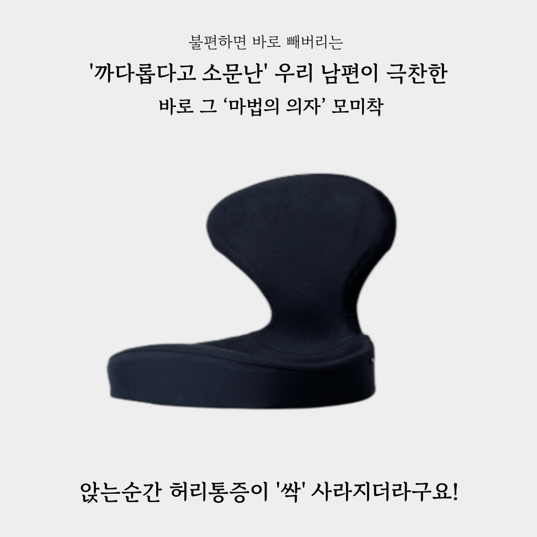일락 바른자세 교정의자 "모미착"