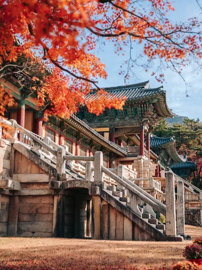 가을 경주 여행 가볼만한곳 베스트 10으로 정리_8