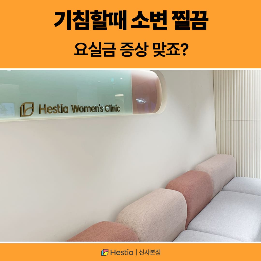 기침할때 소변 찔금 요실금 증상 맞죠?