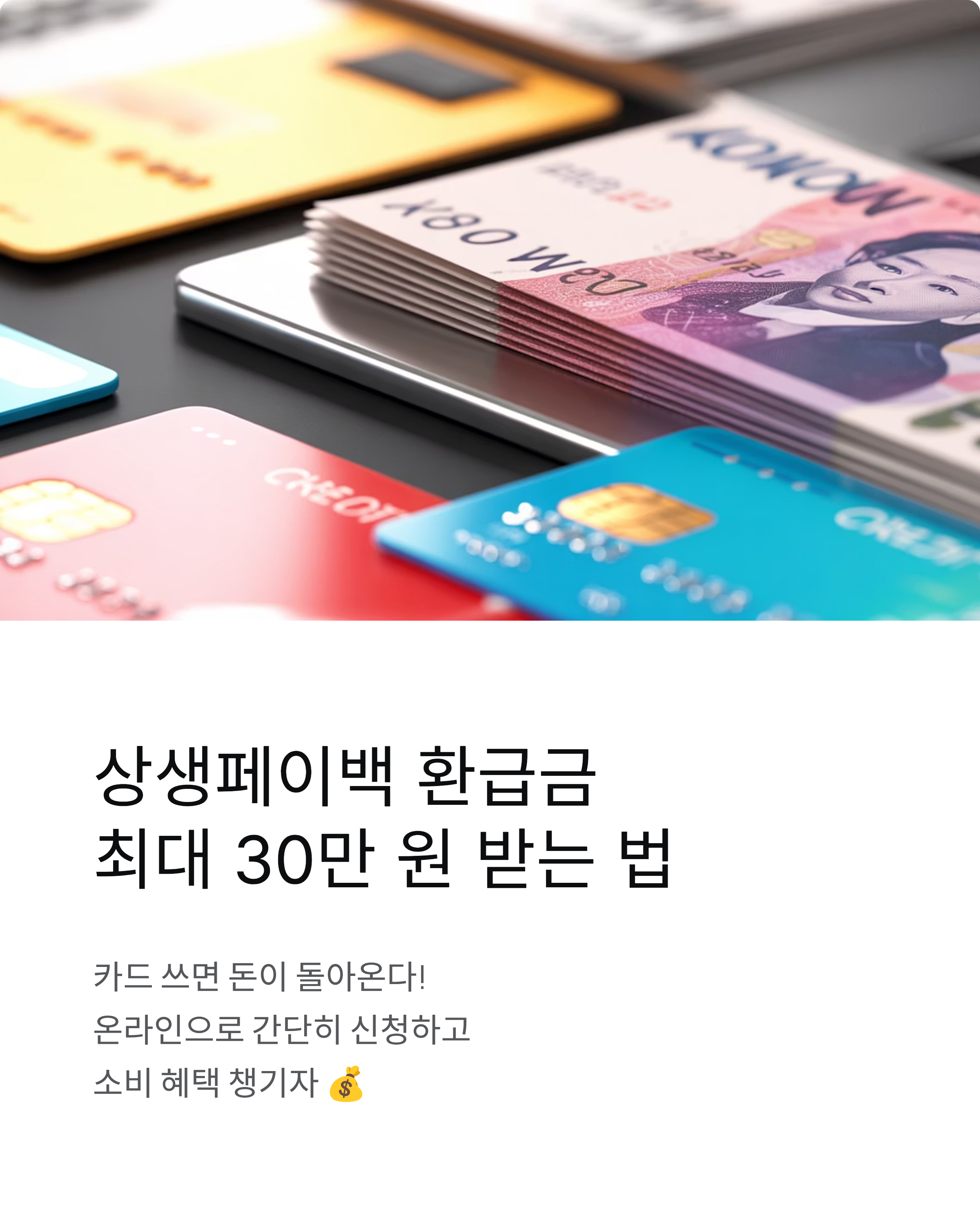 상생페이백 환급금 온라인 주문법