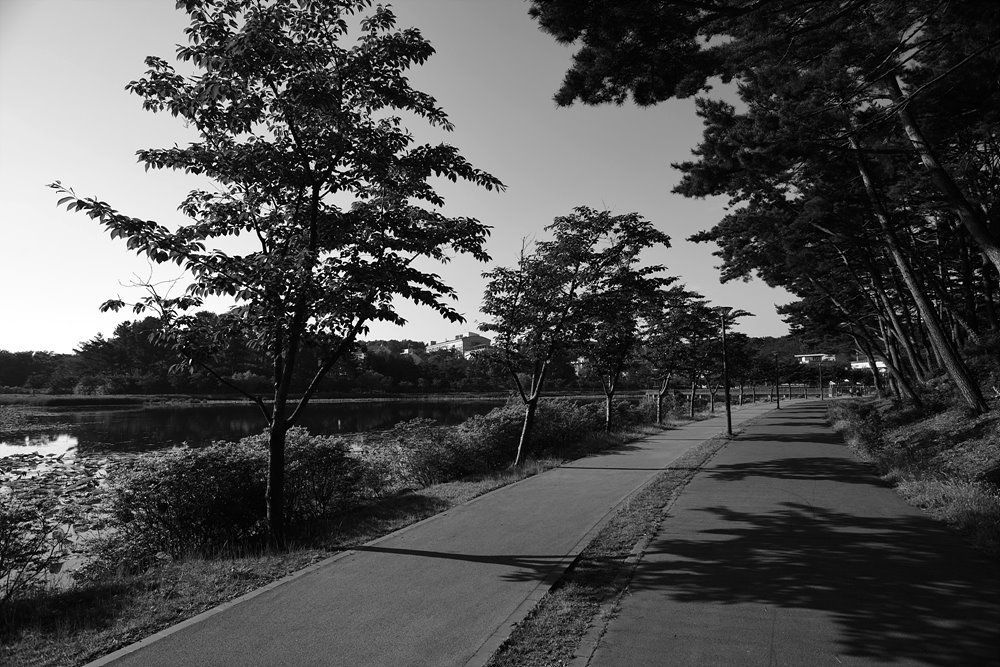 D850_20230603_072735.jpg
