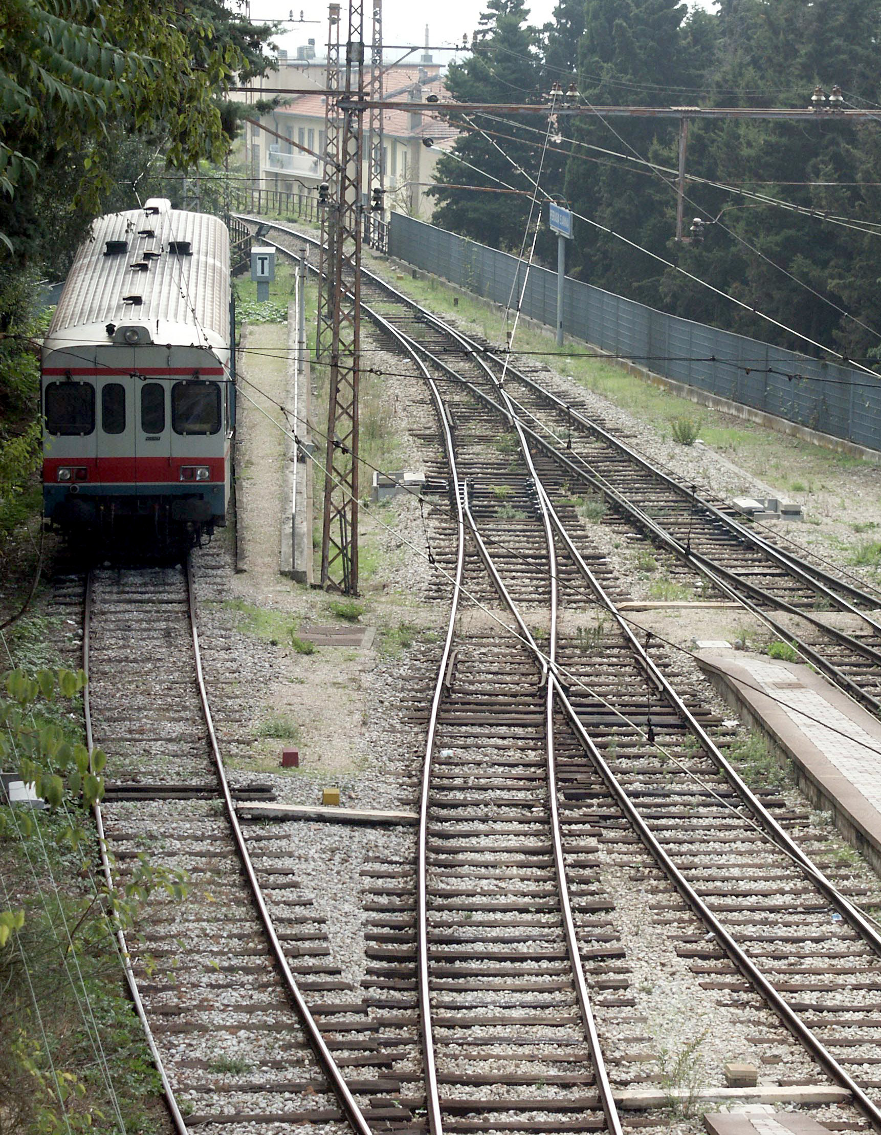 반려동물과 기차 여행 관련 사진