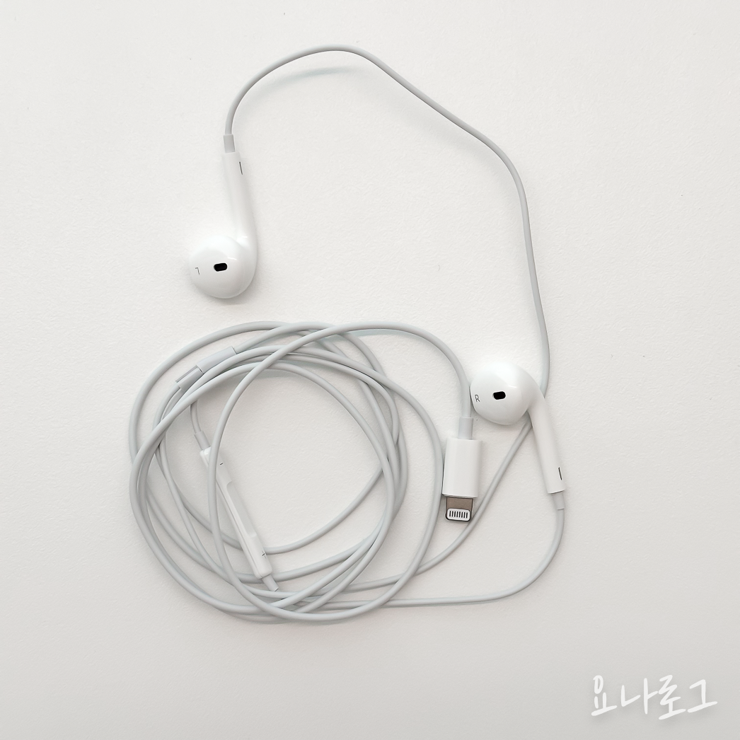 애플 애플이어폰 이어팟 에어팟 애플정품 애플정품이어폰 에어팟프로 이어폰추천 유선이어폰 무선이어폰 유선이어폰추천 무선이어폰추천 애플스토어 애플정품이어팟 애플정품에어팟 이어폰리뷰 내돈내산이어폰 내돈내산아이폰 아이폰 아이폰이어폰 earpods airpods