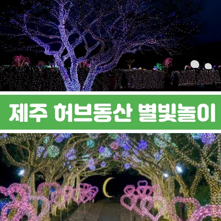 제주도 허브동산 별빛놀이 야간개장