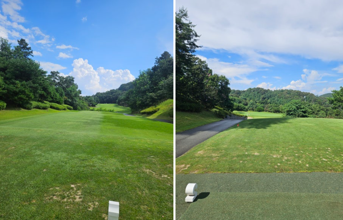 골프존카운티-잔디상태2