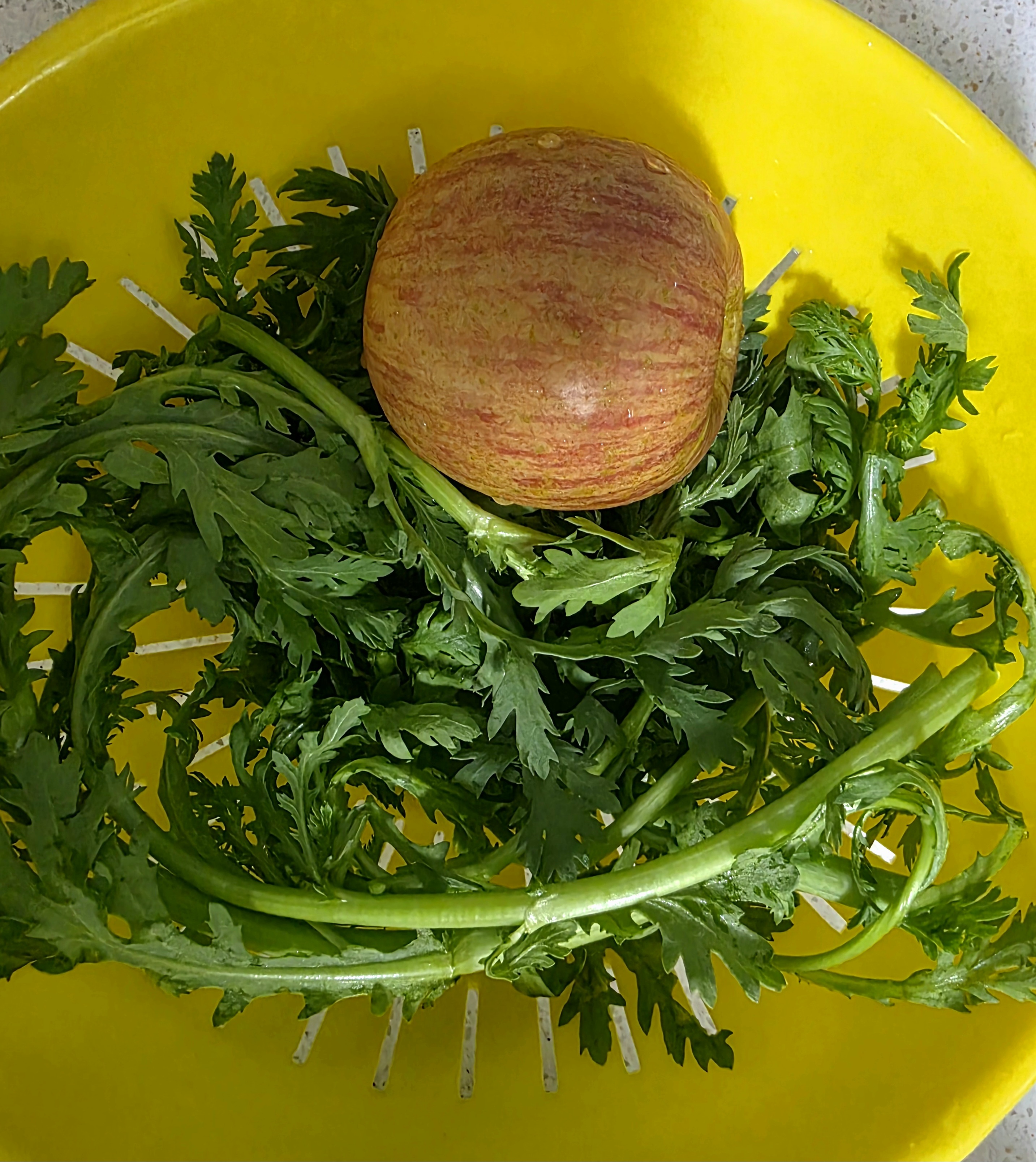 사과가-새콤달콤해요.