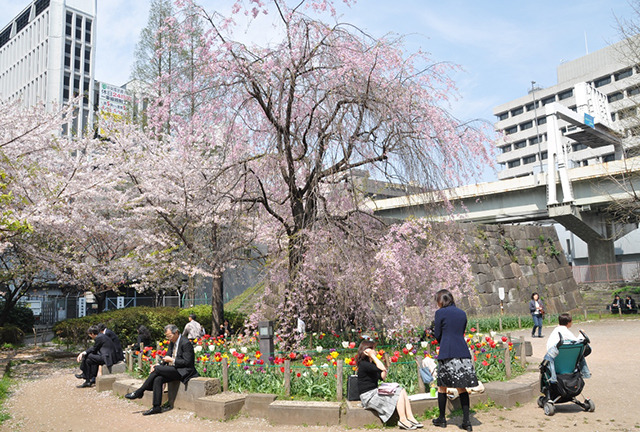 도쿄 벚꽃 명소