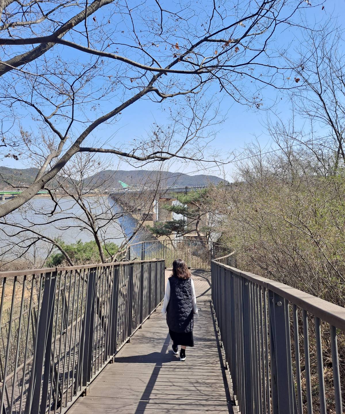 평화누리길 내려가는 길