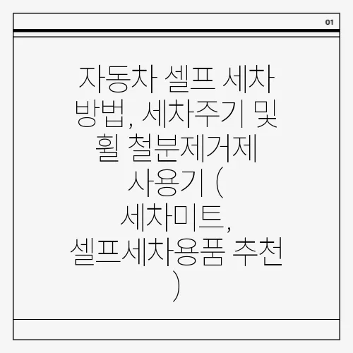 자동차 셀프 세차 방법, 세차주기 및 휠 철분제거제 사용기 ( 세차미트, 셀프세차용품 추천 )