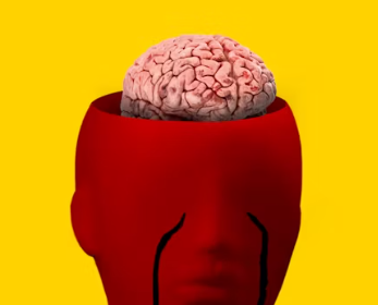 포스파티딜 세린 효능 음식 추천 부작용