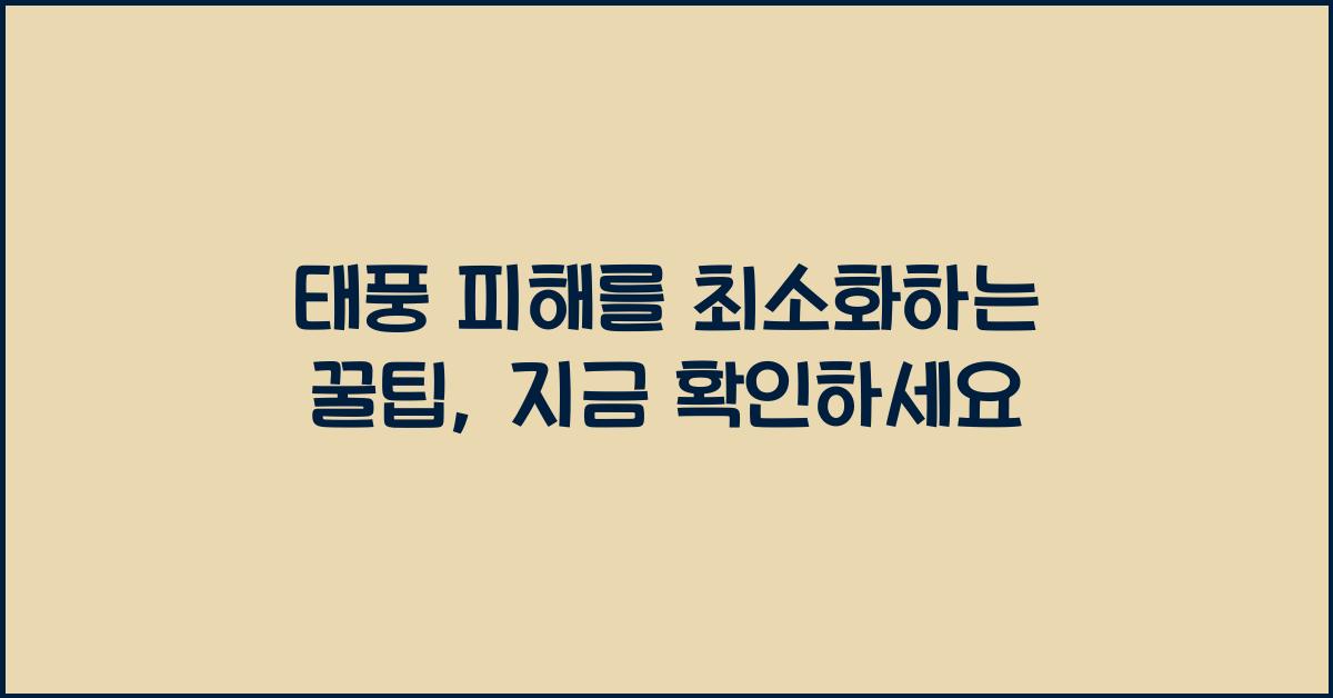 태풍