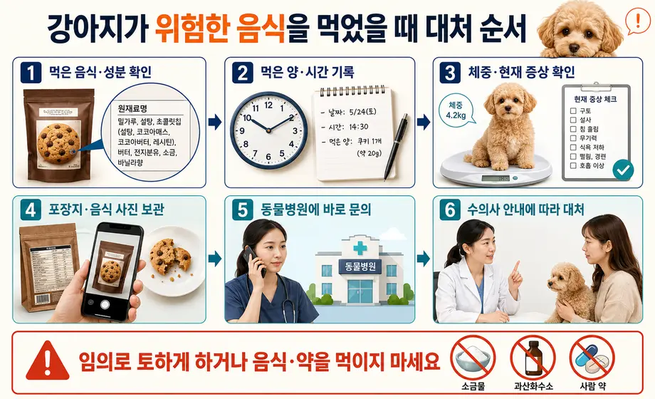 강아지가 위험한 음식을 먹었을 때 확인해야 할 6단계 대처 순서와 임의로 토하게 하면 안 된다는 주의사항 이미지
