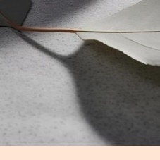 입술 포진 빨리낫는법