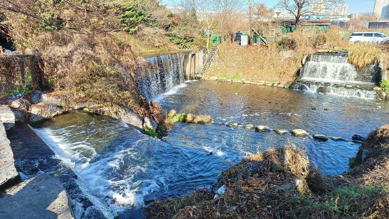 인천 연수구 반려견 겨울 나들이 명소, 강아지와 함께 걷기 좋은 산책 코스