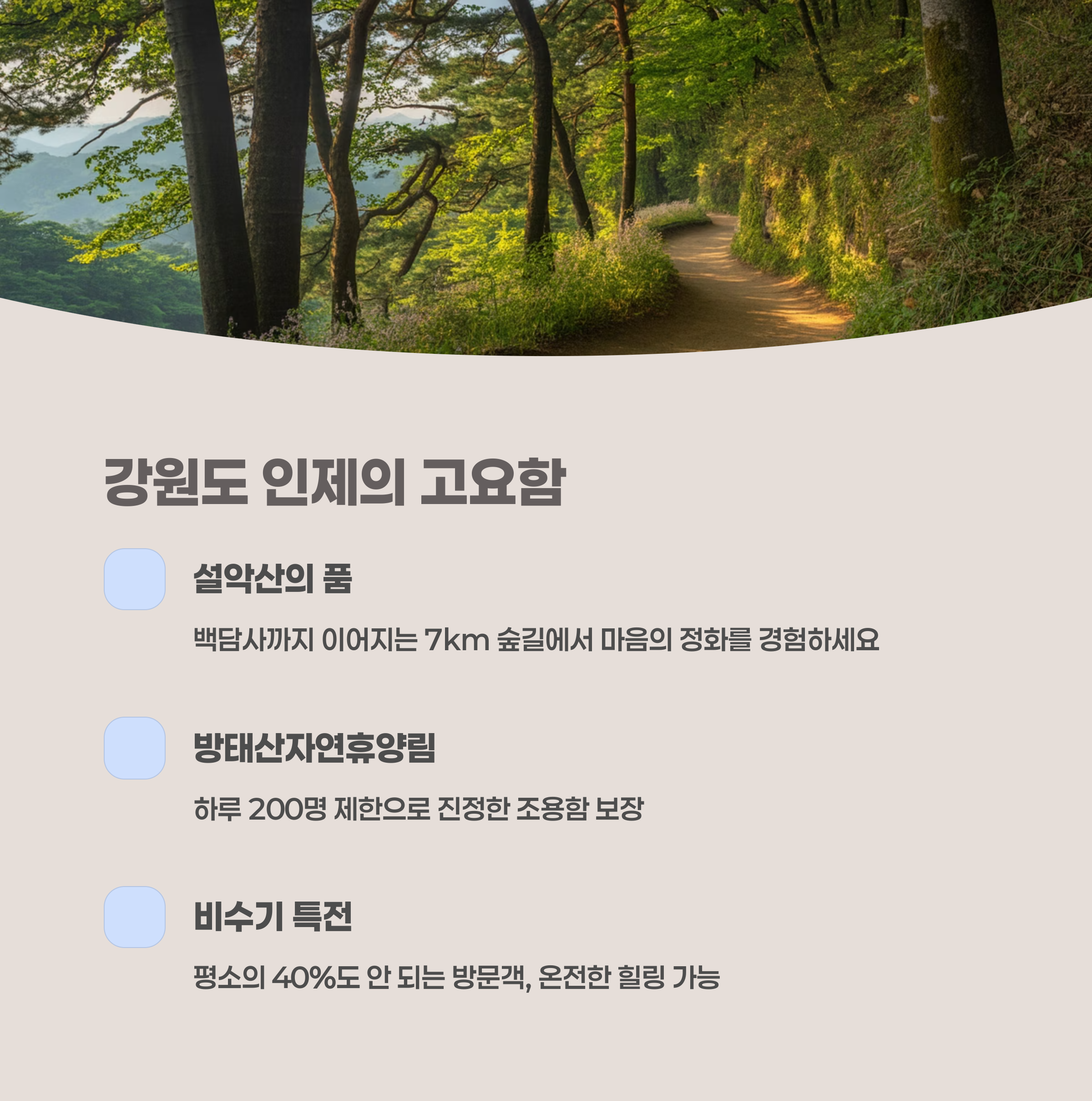 강원도 인제 – 산과 계곡이 품은 침묵