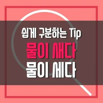 물이 세다 새다 맞춤법 맞는 표현_44