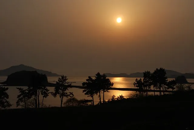 티빙 해지 방법 모바일 kt 정기결제 해지_9