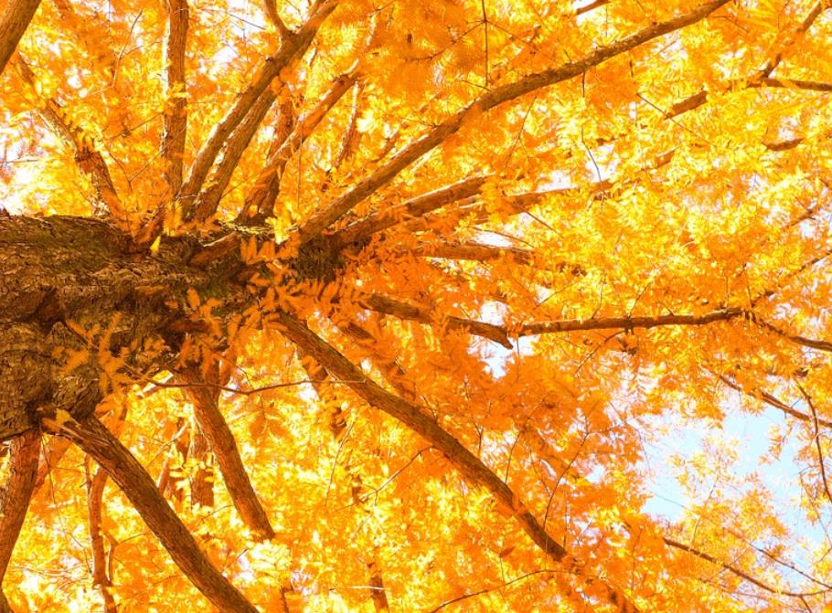 영광 가볼만한곳 베스트10