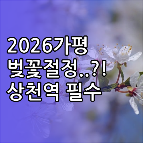 2026년 가평 지역 벚꽃 절정 시기..