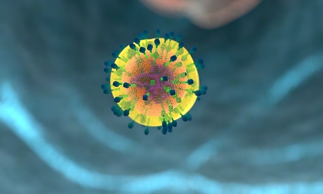 면역력