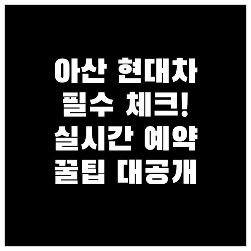 아산 현대차 서비스센터 방문 전 체크..