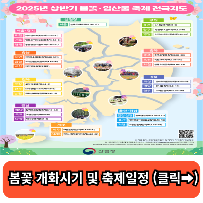 봄꽃 -개화시기-산림청-정보