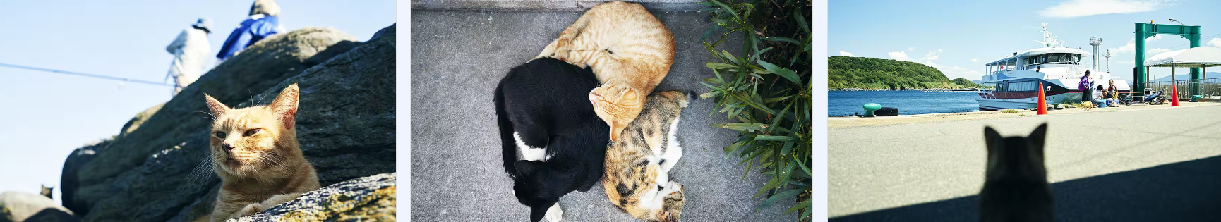 아이노시마
