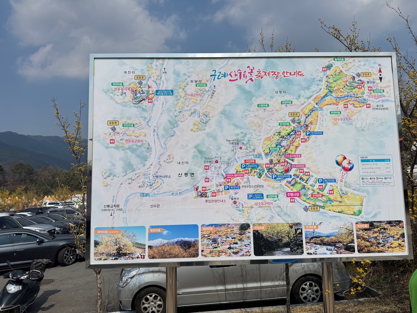 구례산수유축제