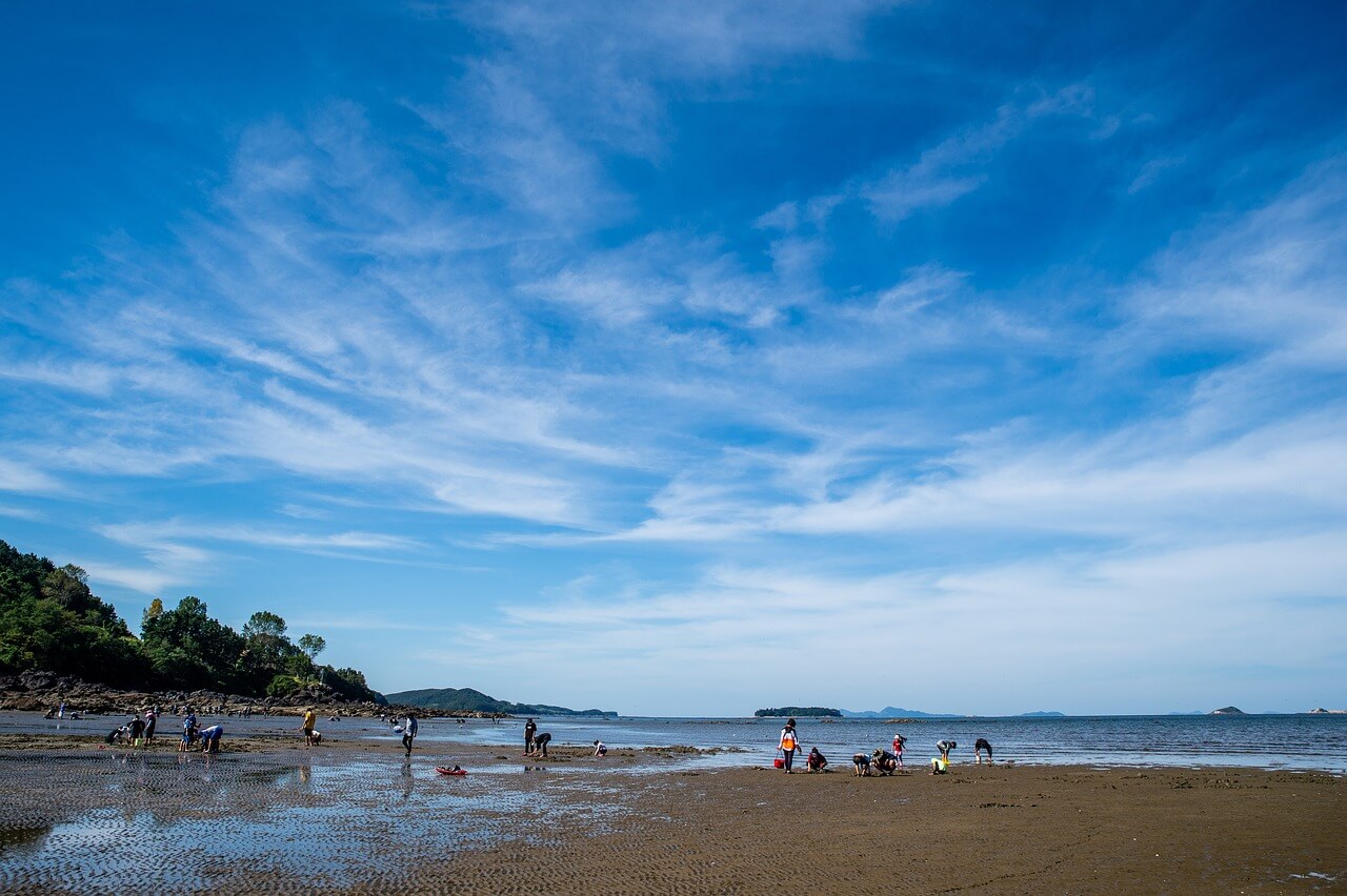 해수욕장 개장일
