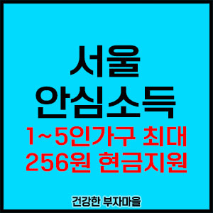 서울 안심소득
