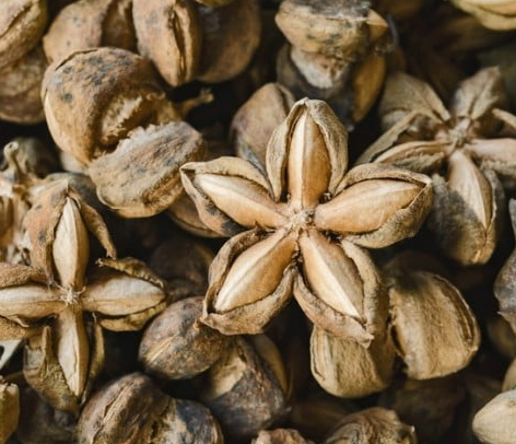 사차인치 효능, 혈관 건강부터 다이어트까지