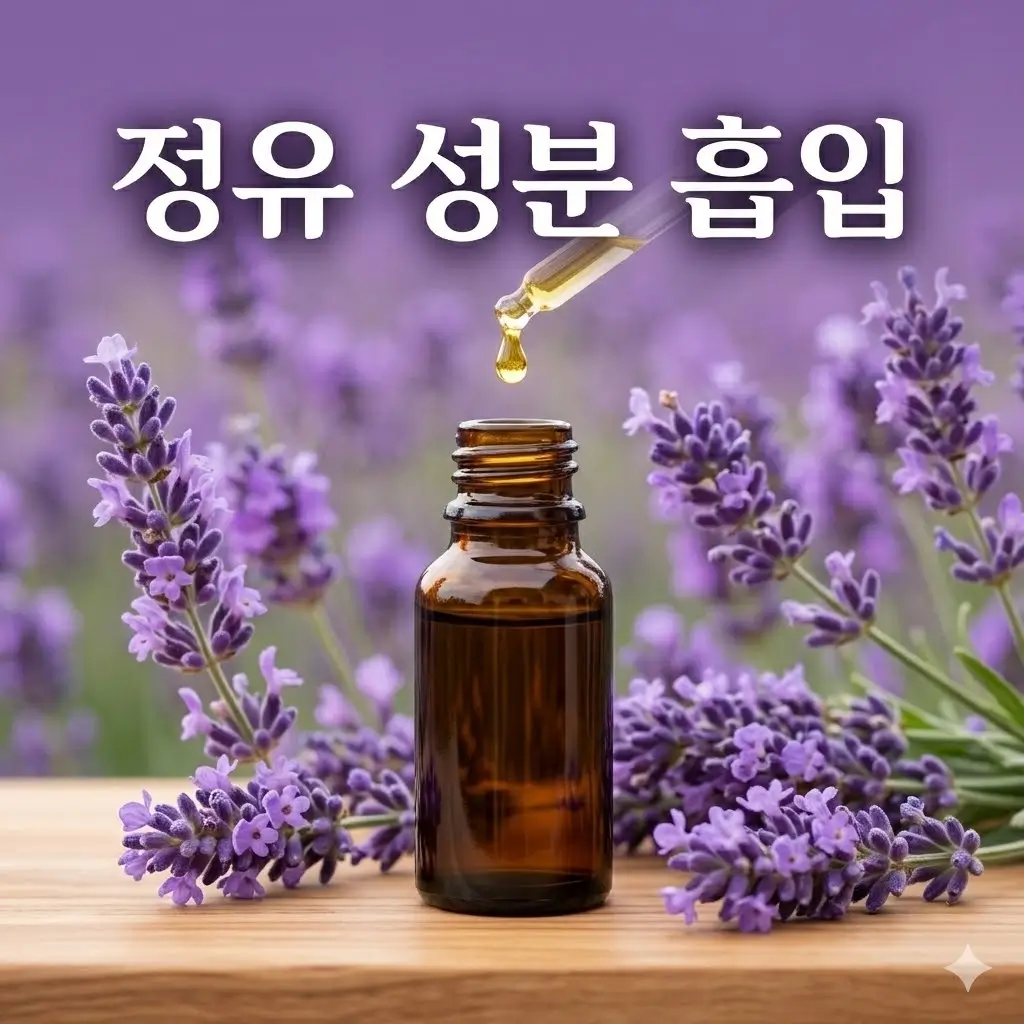 정유 성분 흡입이 심리적 긴장 축을 완화하는 메커니즘