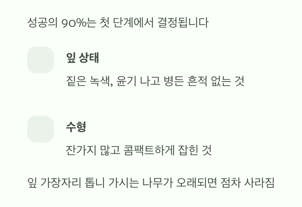 첫 단추가 중요해요, 튼튼한 모종 고르기