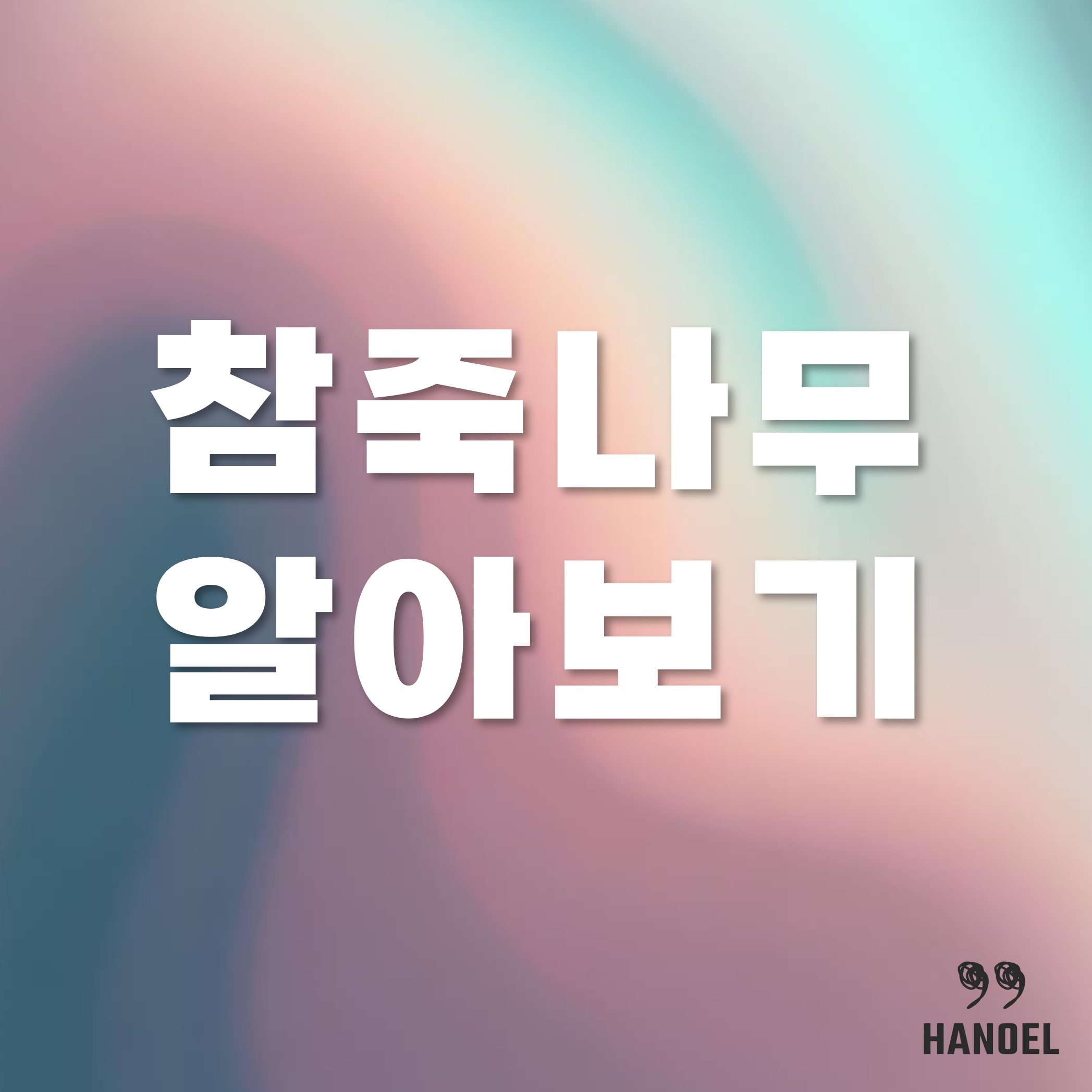 참죽나무 종류와 키우는법