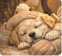 강아지 꿈해몽! 유형별 12가지 강아지 꿈해몽! 총정리!